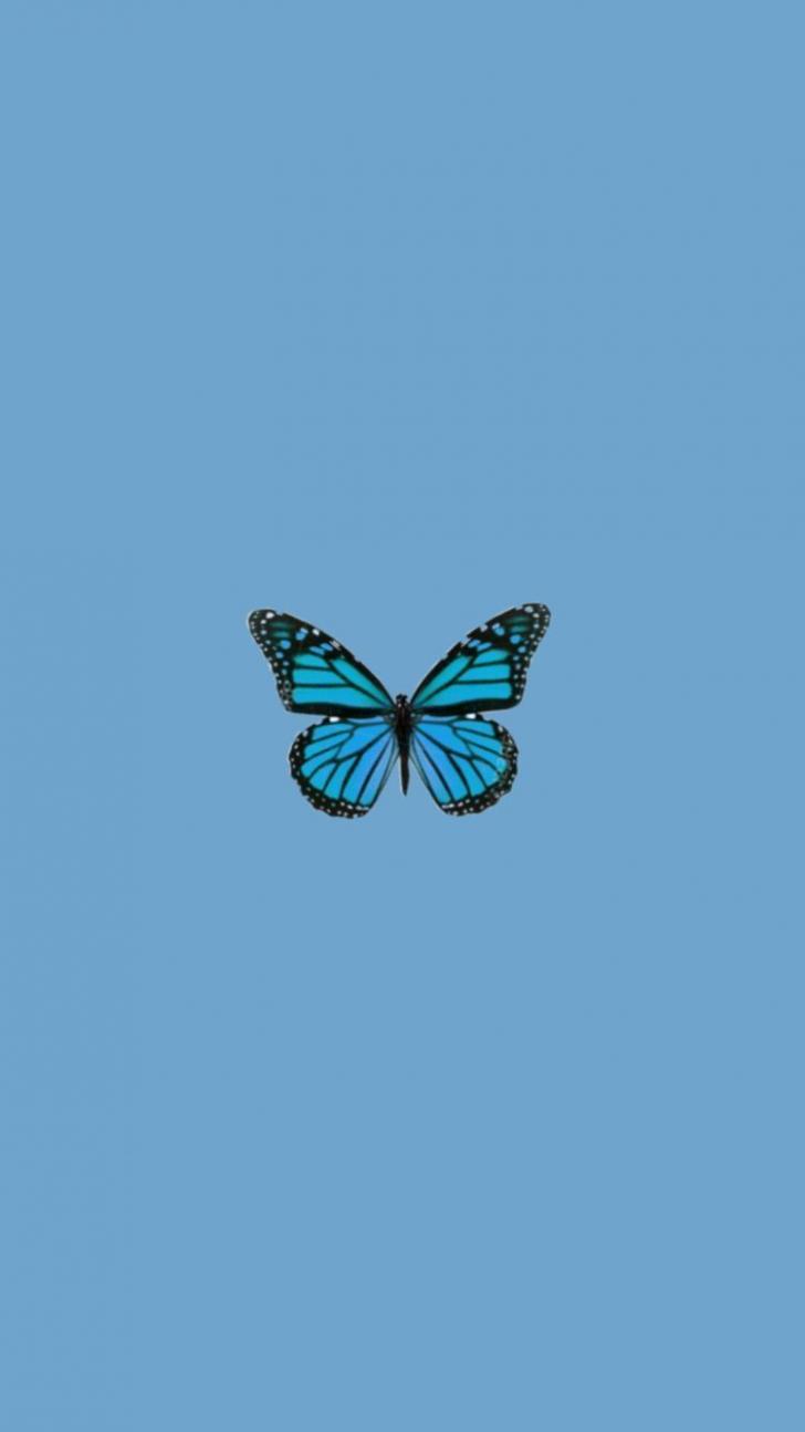 728x1294 Wallpaper HD: Aesthetic, Simple, Butterfly, Wallpaper, Wallpaper