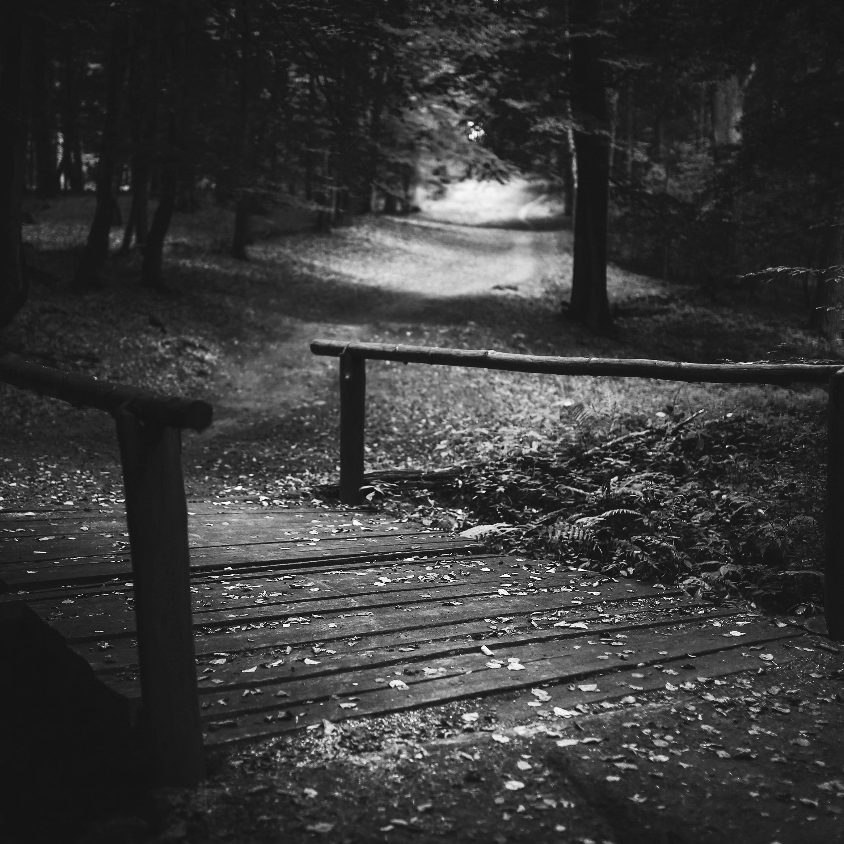 2732x2732 Wood Nature Forest Road Mountain Dark Bw Wallpaper
