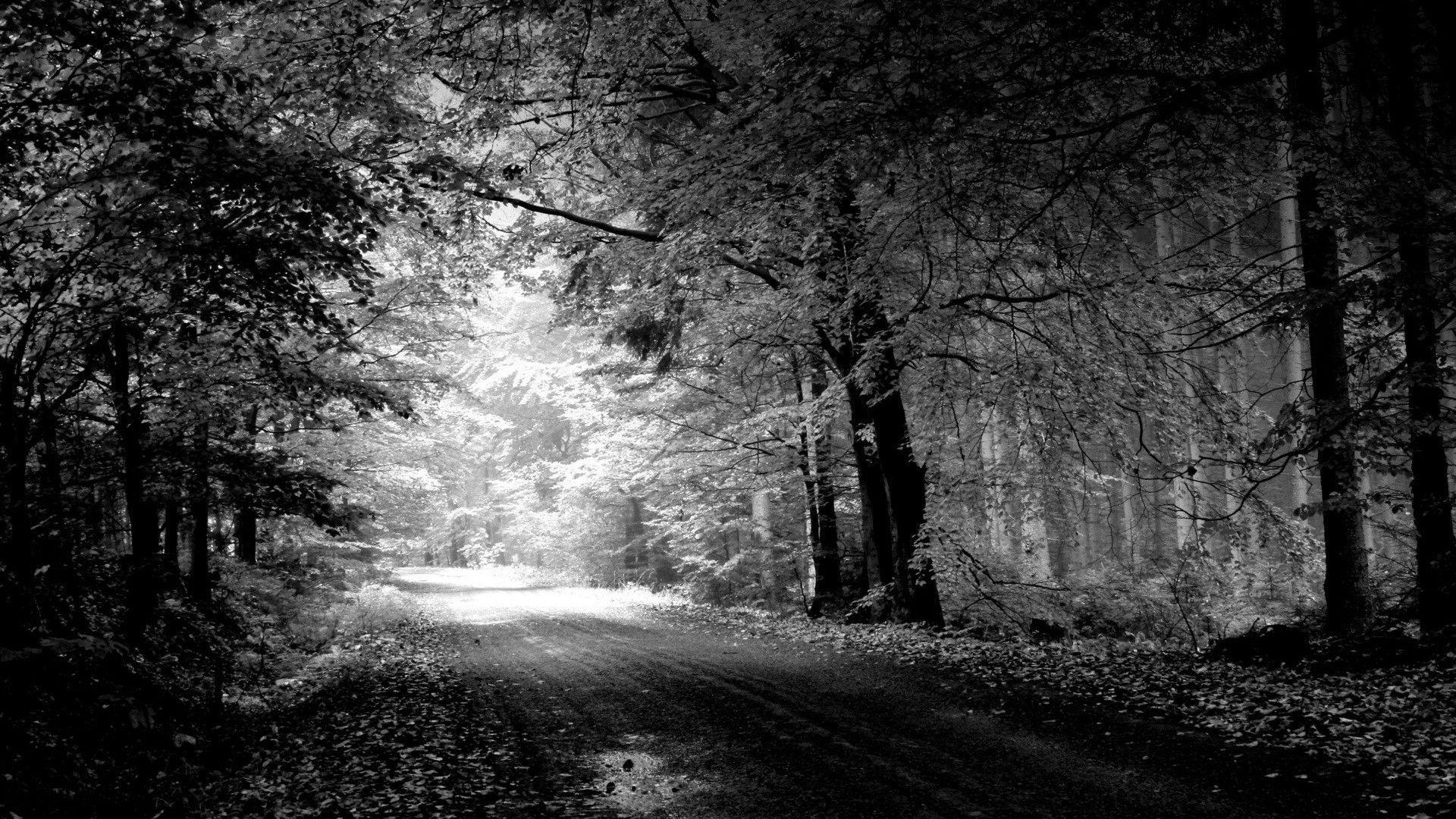 1920x1080 Black and White Desktop Wallpaper background picture