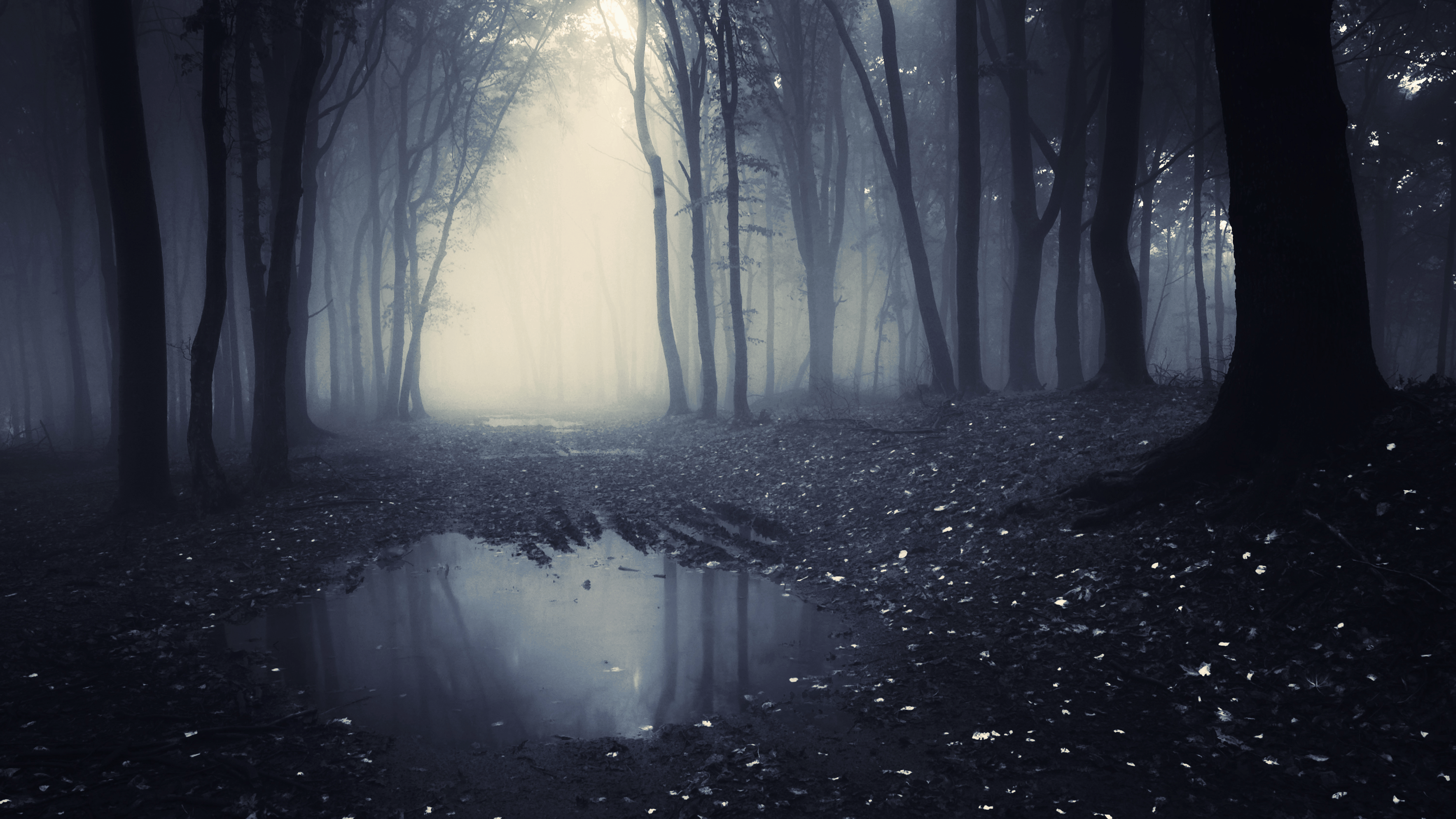 3840x2160 Nature Dark 4k Wallpaper