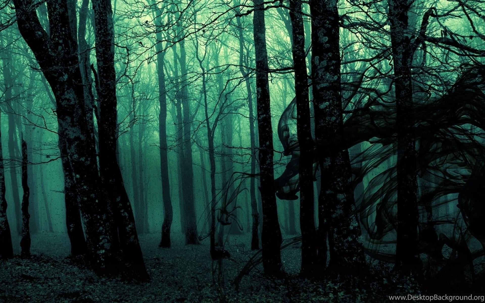 1920x1200 Dark Dense Forest Desktop Background