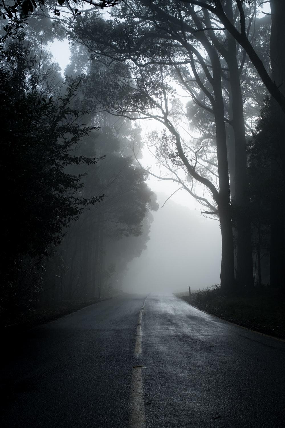 1000x1500 Forest Boy Picture. Download Free Image