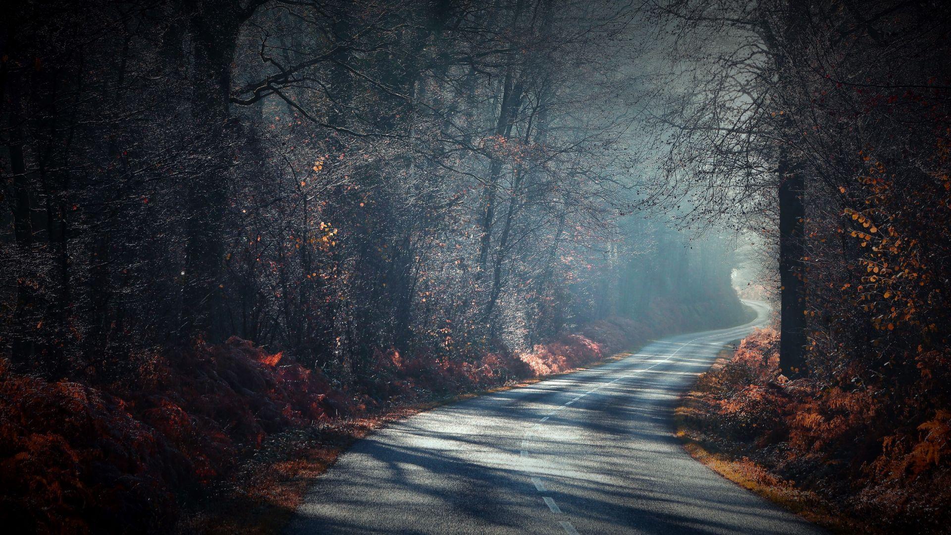 1920x1080 Desktop Wallpaper Road Through Forest, Highway, Nature, HD Image, Picture, Background, 3lflnu
