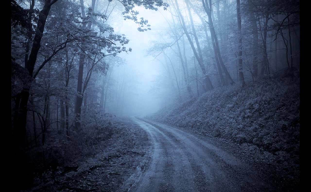 Ночной тропой постой а можно. Страшная дорога. Дорога в тумане. Страшная дорога в лесу. Ночная Лесная дорога.