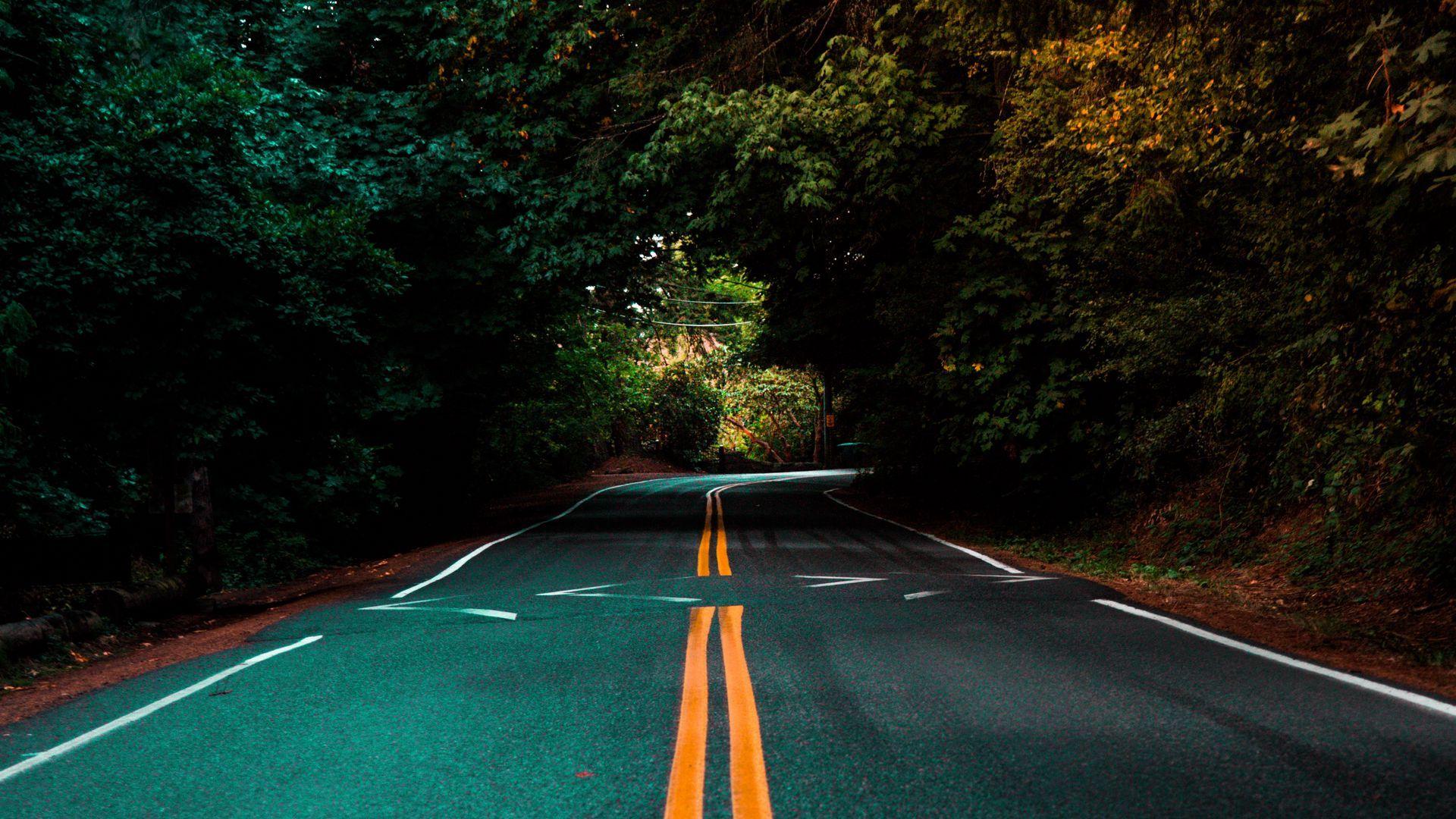 1920x1080 Download wallpaper 1920x1080 road, marking, turn, trees, asphalt full hd, hdt. HD wallpaper for laptop, HD dark wallpaper, Computer wallpaper desktop wallpaper