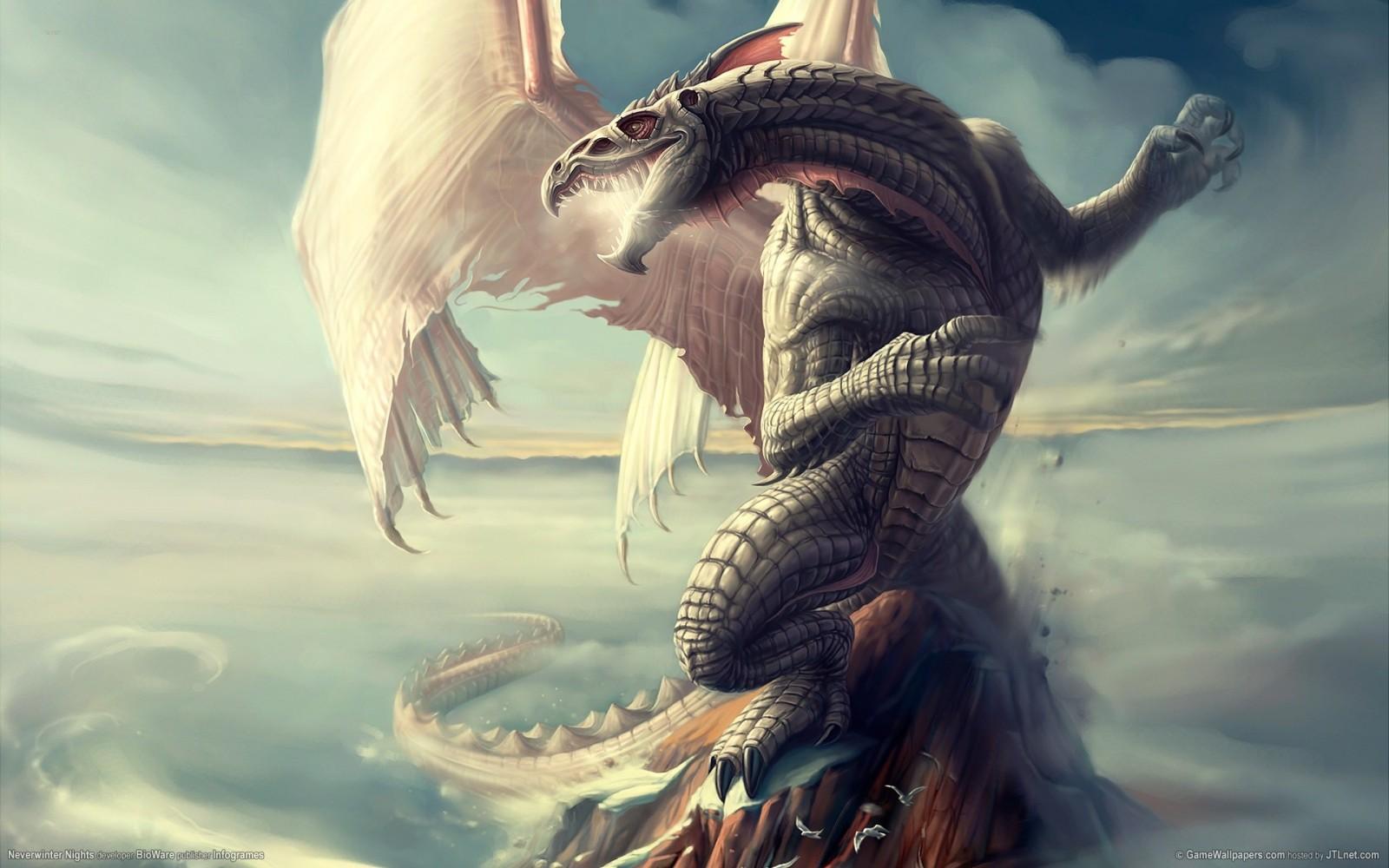 1600x1000 illustration, fantasy art, dragon, mythology, wing, screenshot, computer wallpaper, fictional character, woman warrior, mythical creature. Mocah HD Wallpaper