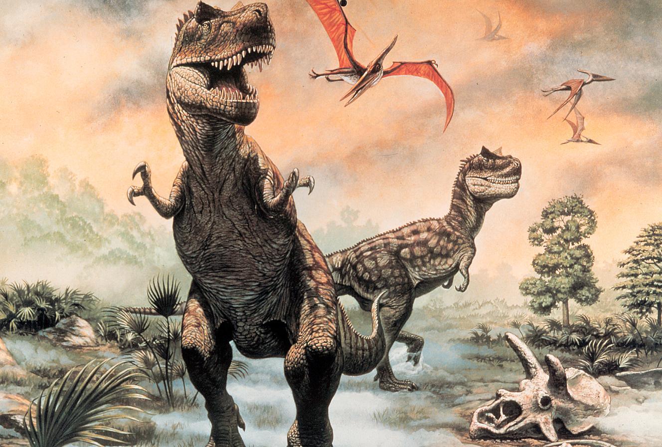 1328x896 HD Dinosaur Wallpaper High Quality HD and image collection for Desktop & Mobile. Free wallpaper download