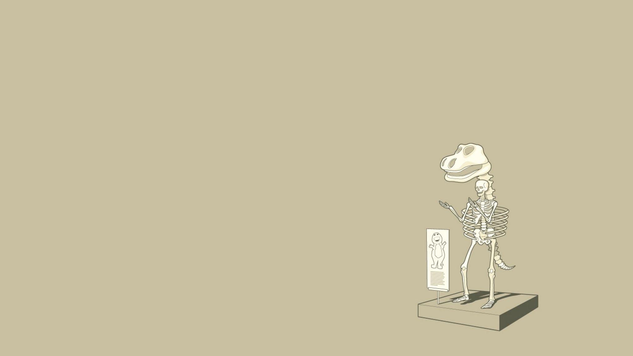 2048x1152 Download wallpaper 2048x1152 dinosaur, skeleton, finding, unusual ultrawide monitor HD background
