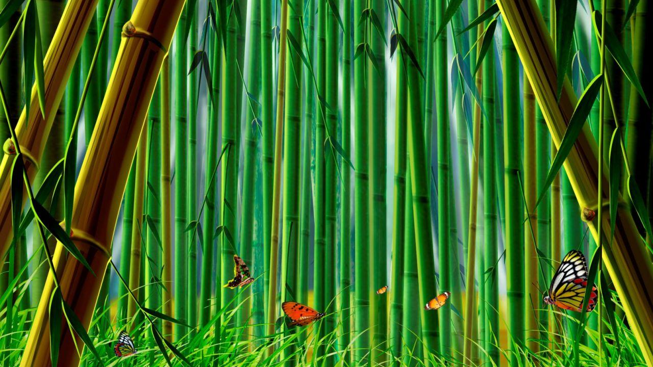 Bamboo Garden Wallpapers - Top Free Bamboo Garden Backgrounds -  WallpaperAccess