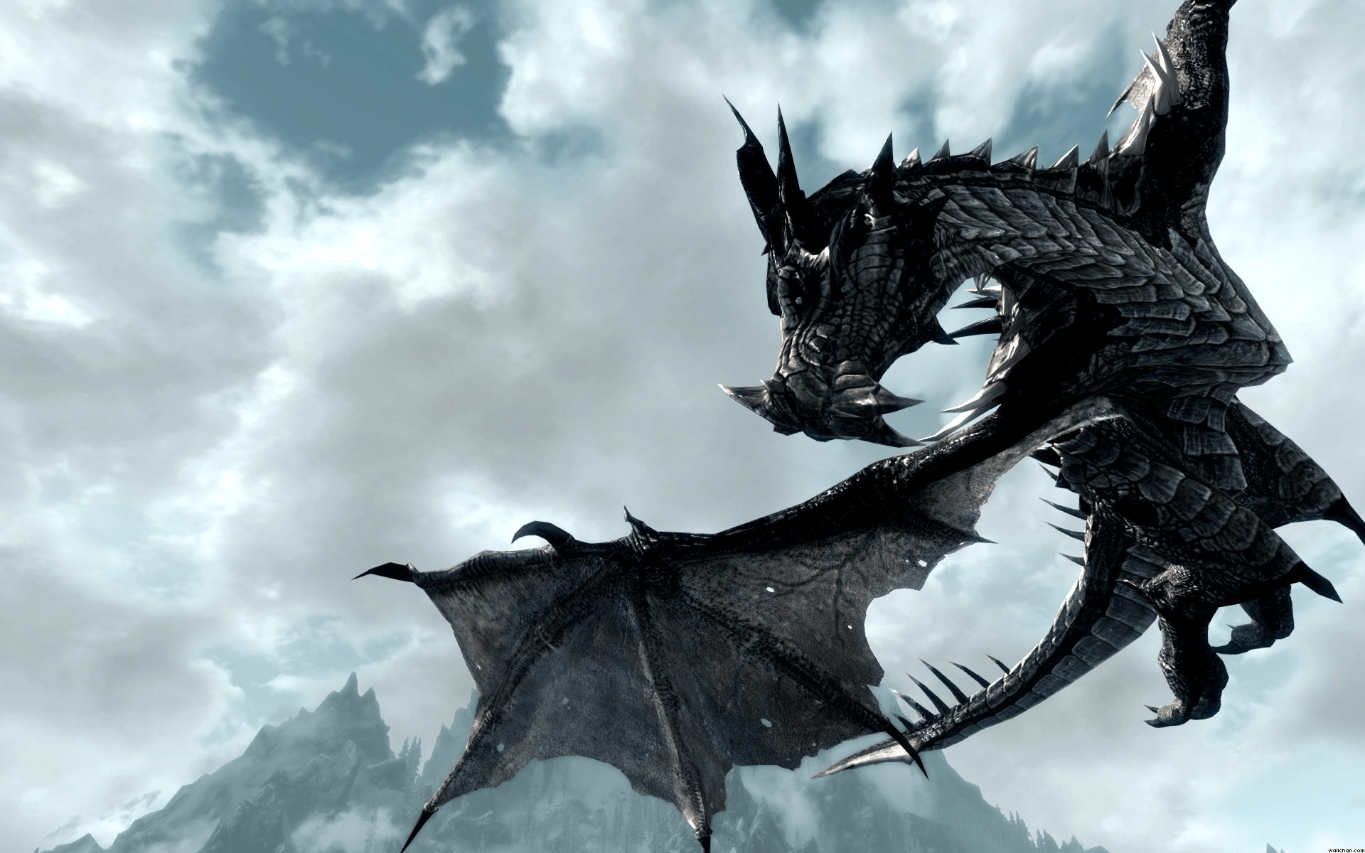 1920x1200 Dragon Skyrim Wallpaper HD