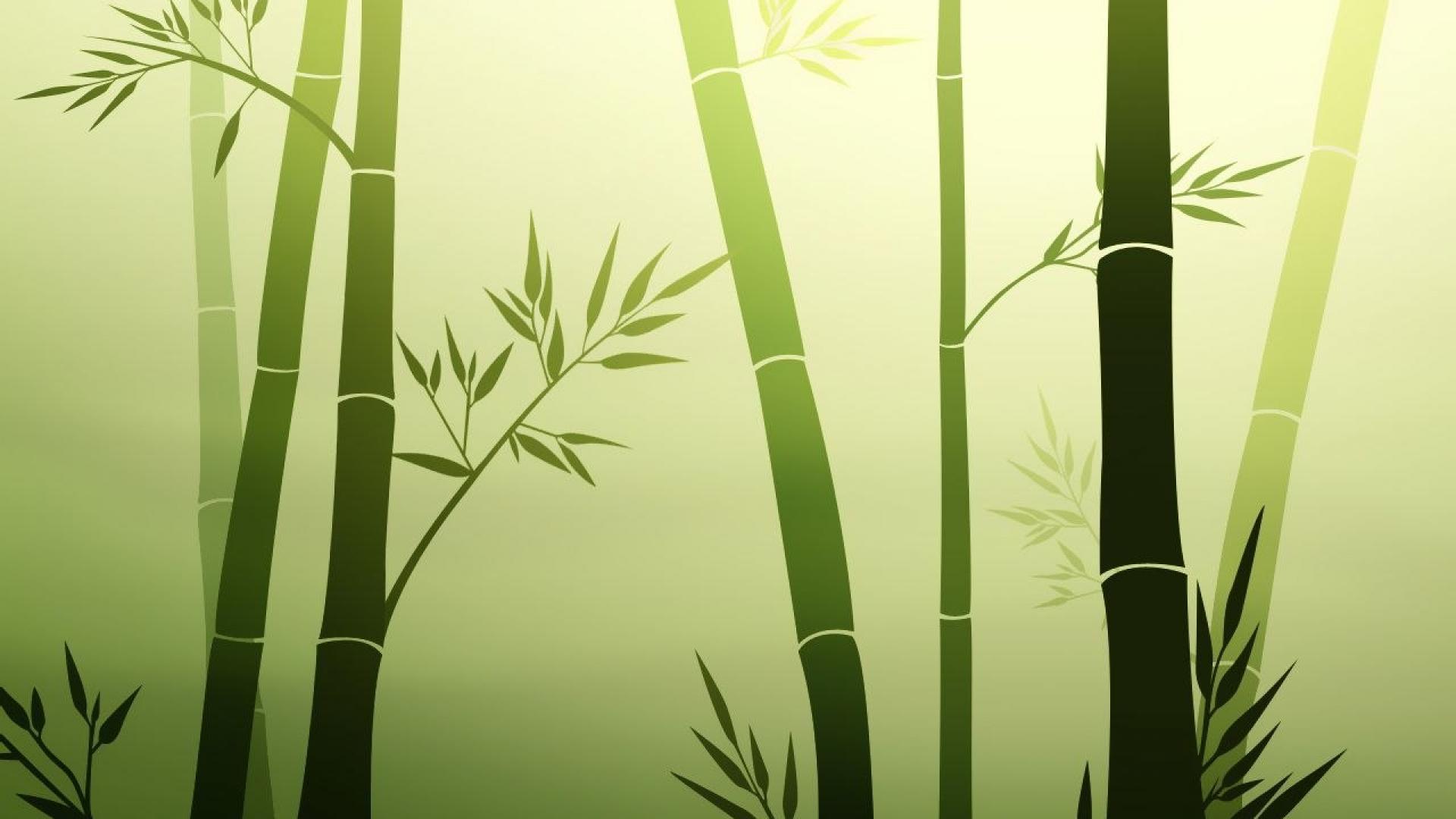 1920x1080 Bamboo wallpaperx1080