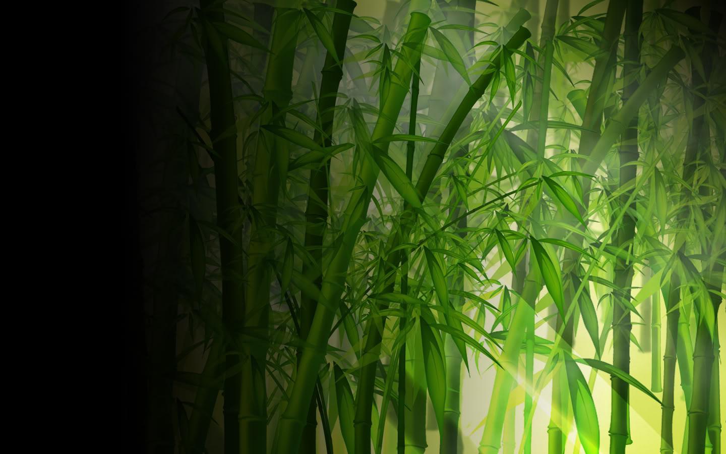 1440x900 Download Bamboo Wallpaper 6501 1440x900 px High Definition Wallpaper