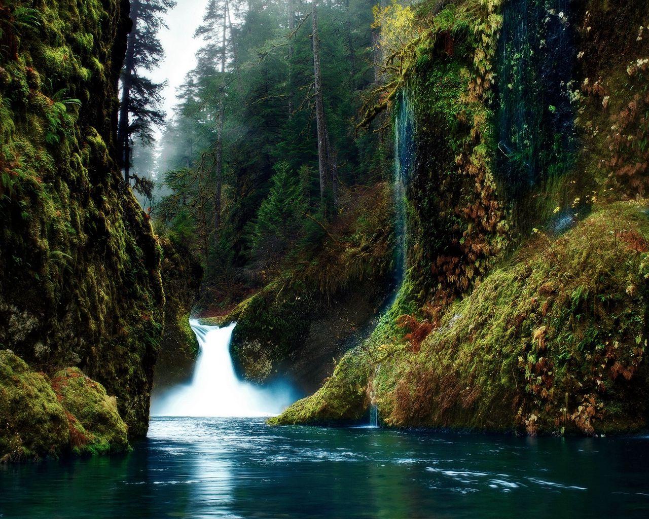 1280x1024 Download wallpaper 1280x1024 gorges, waterfalls, moss, rocks, mystery, color standard 5:4 HD background