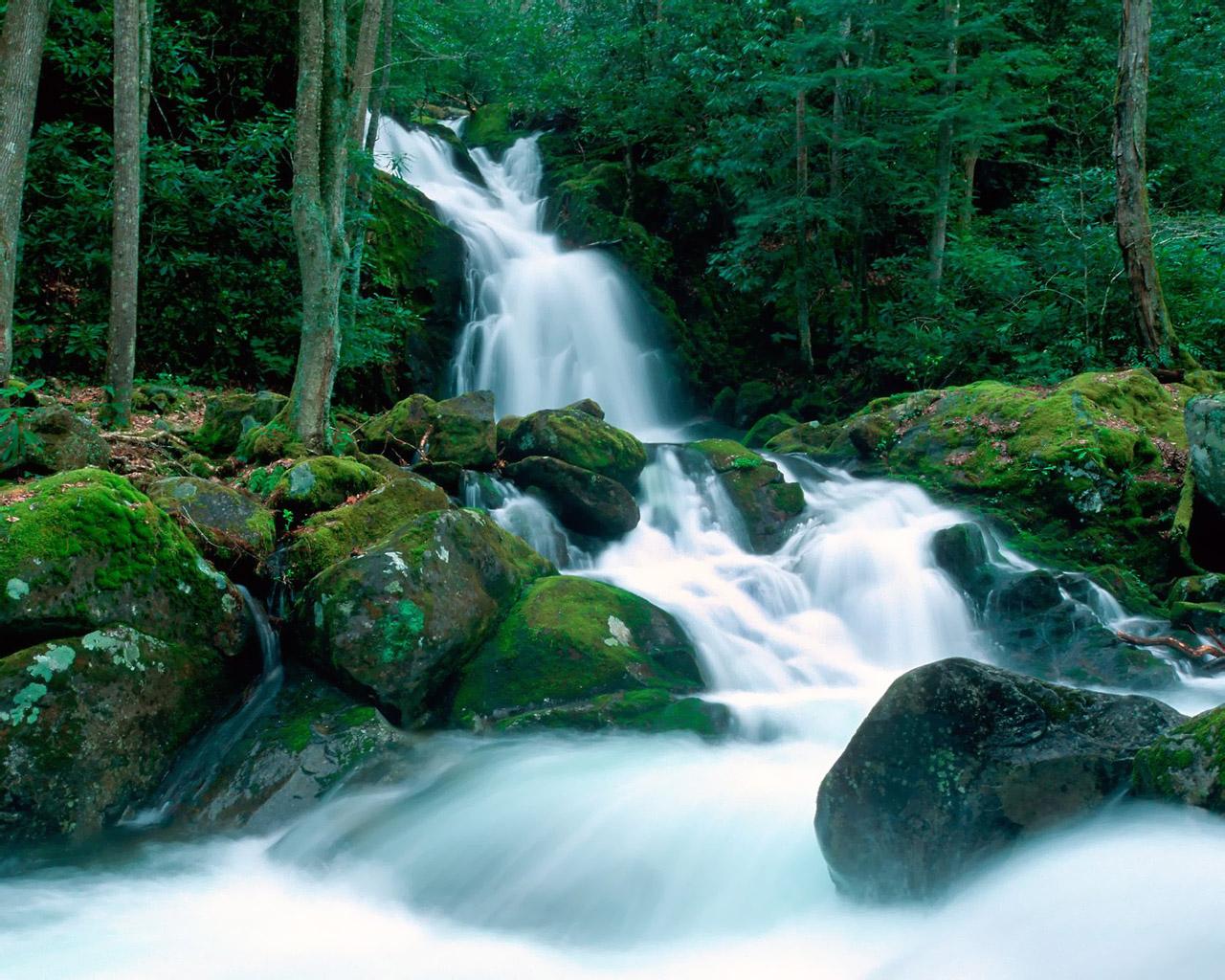 1280x1024 World Landscape Wallpaper 1280*1024 No Resolution Smoky Mountains
