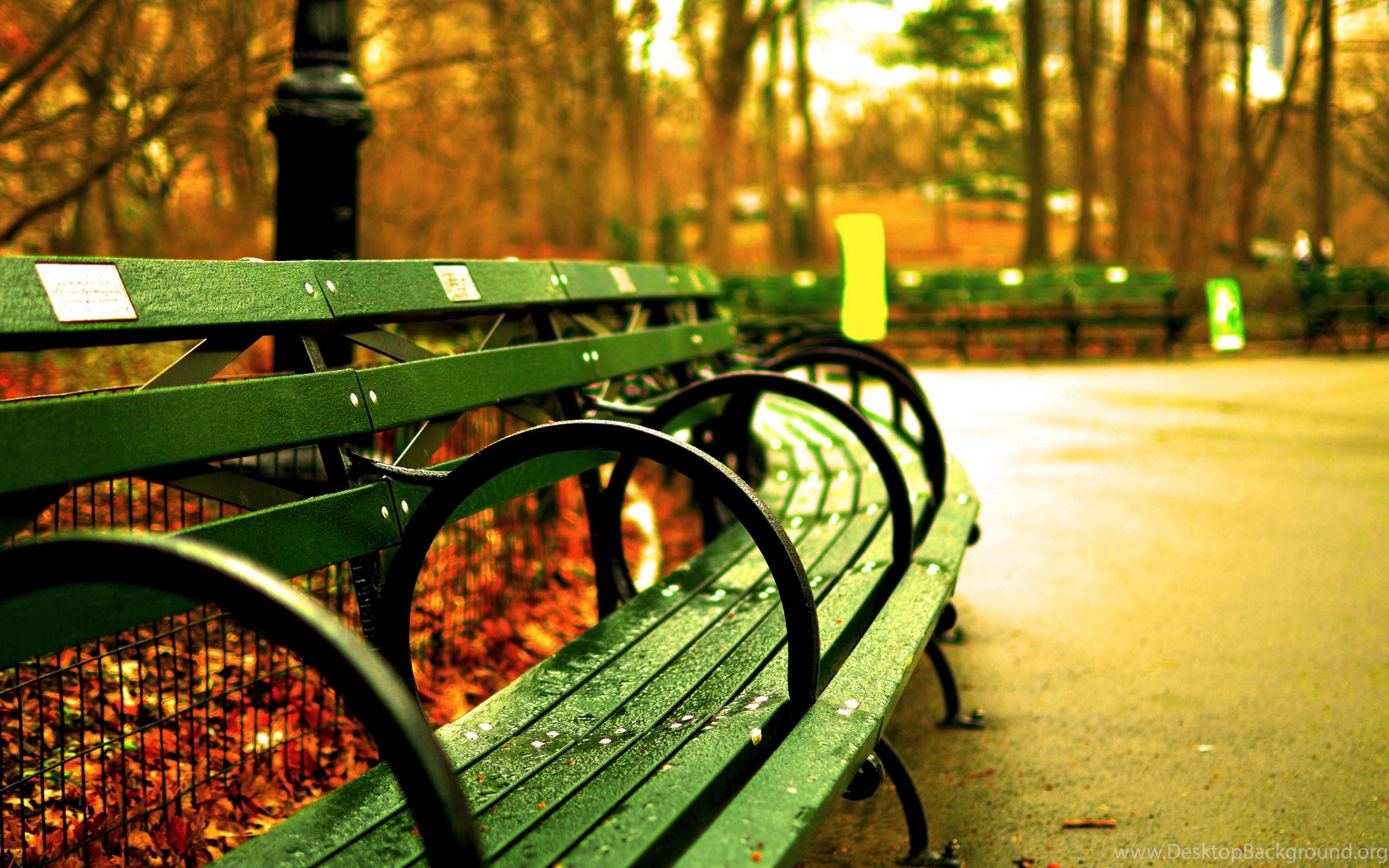 2560x1600 Ultra HD Wallpaper 8k download HD Widescreen Wallpaper Desktop Background