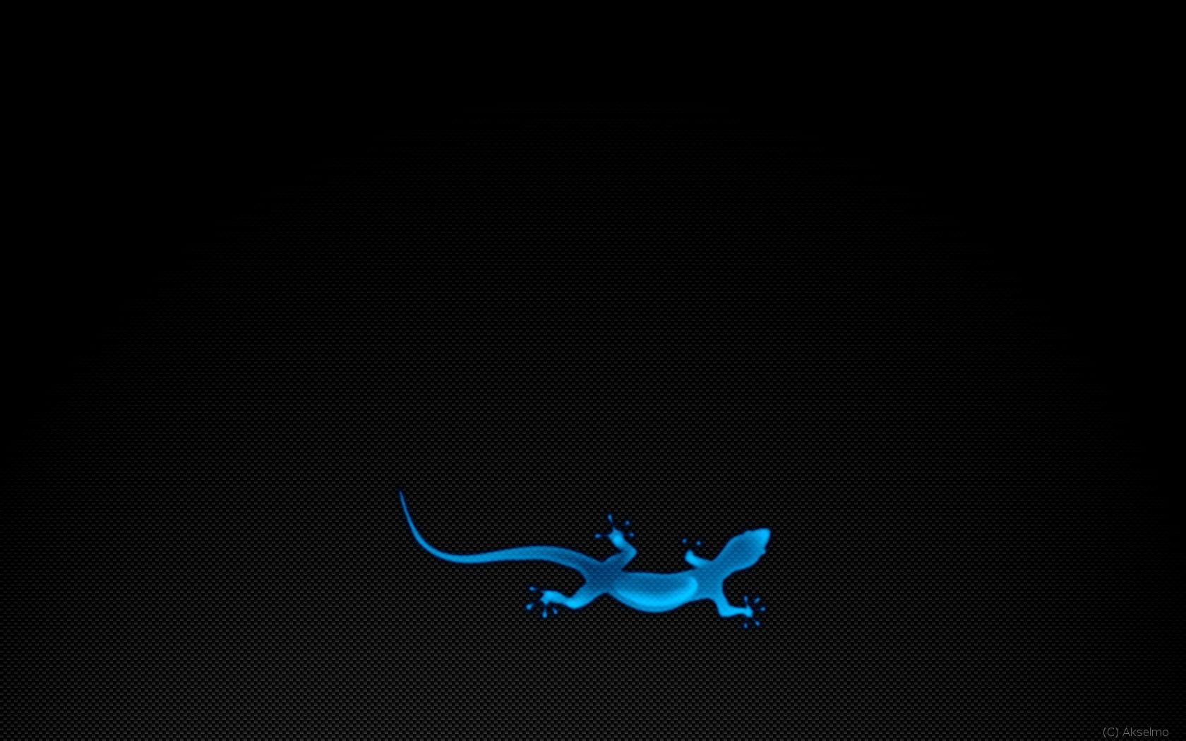 1680x1050 blue lizards gecko 1680x1050 wallpaper High Quality Wallpaper, High Definition Wallpaper