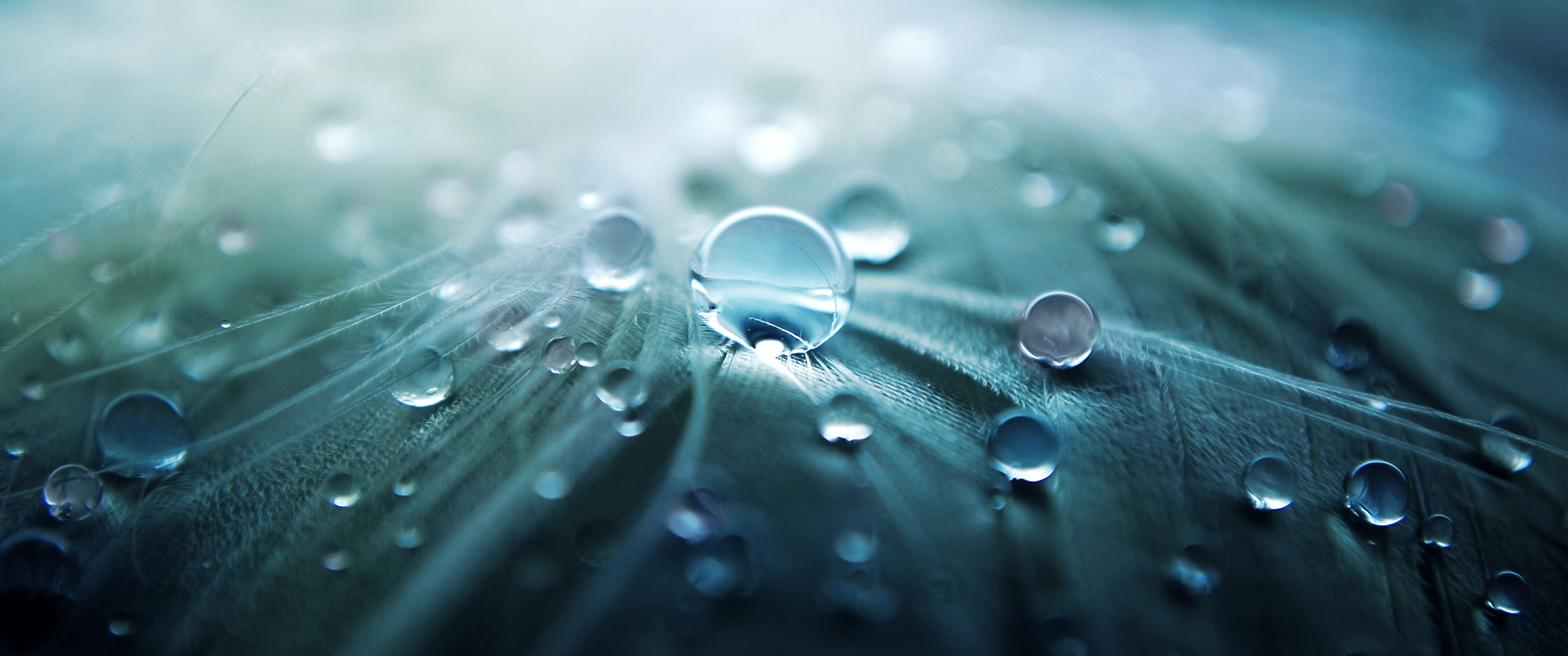 3440x1440 ultrawide, Landscape, Nature, Photography, Macro Wallpaper HD