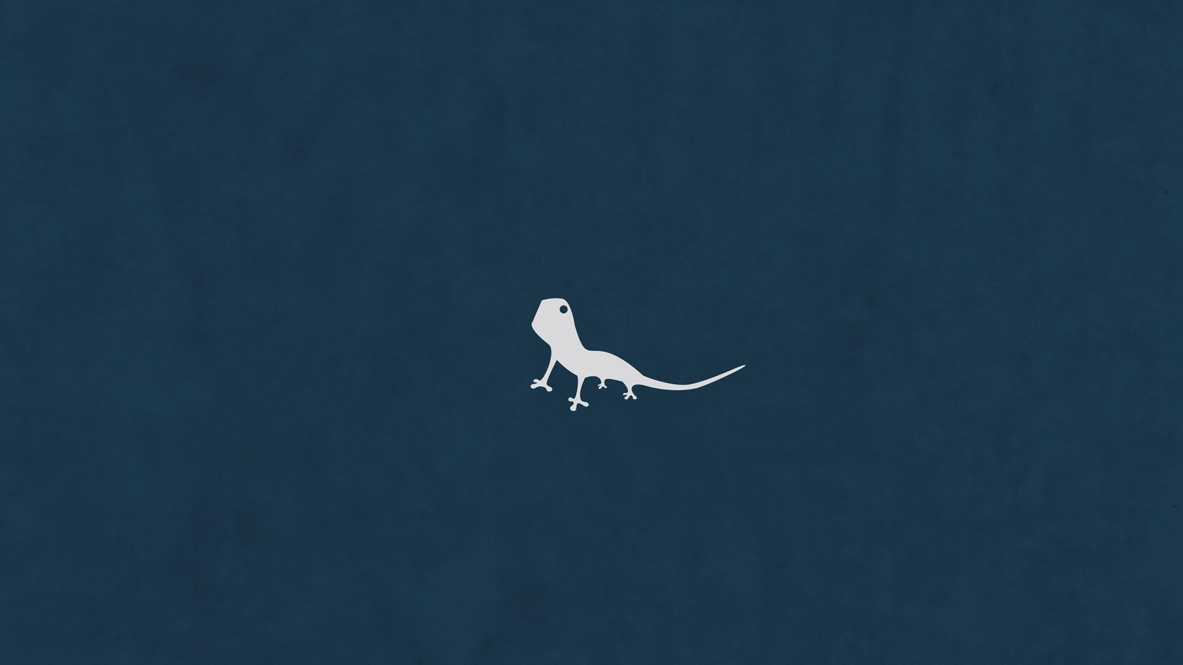 3840x2160 wallpaper for desktop, laptop. lizard blue animal minimal simple art