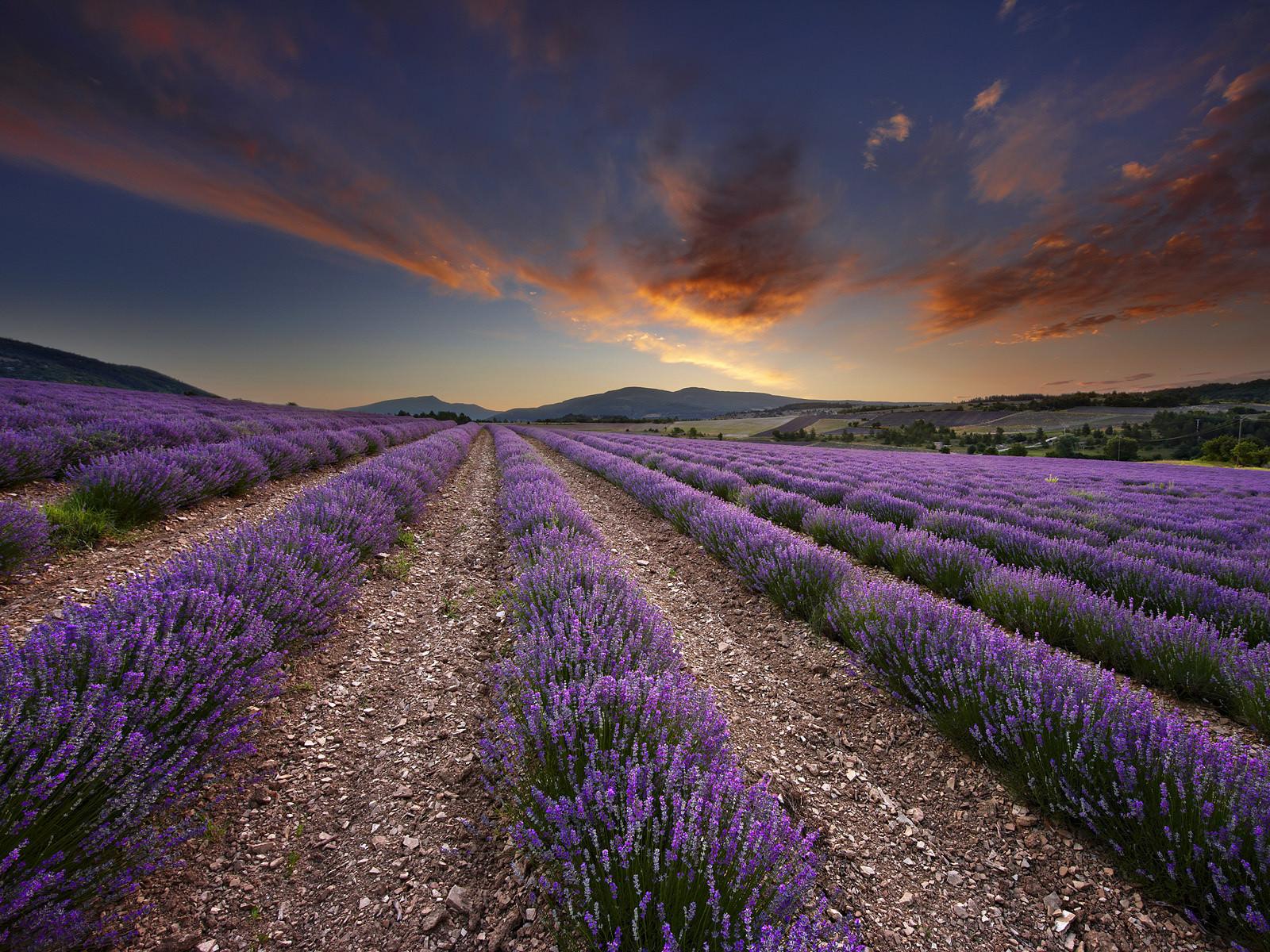 Rue Droite (Le Castellet, France) - Free 4K HD Wallpapers