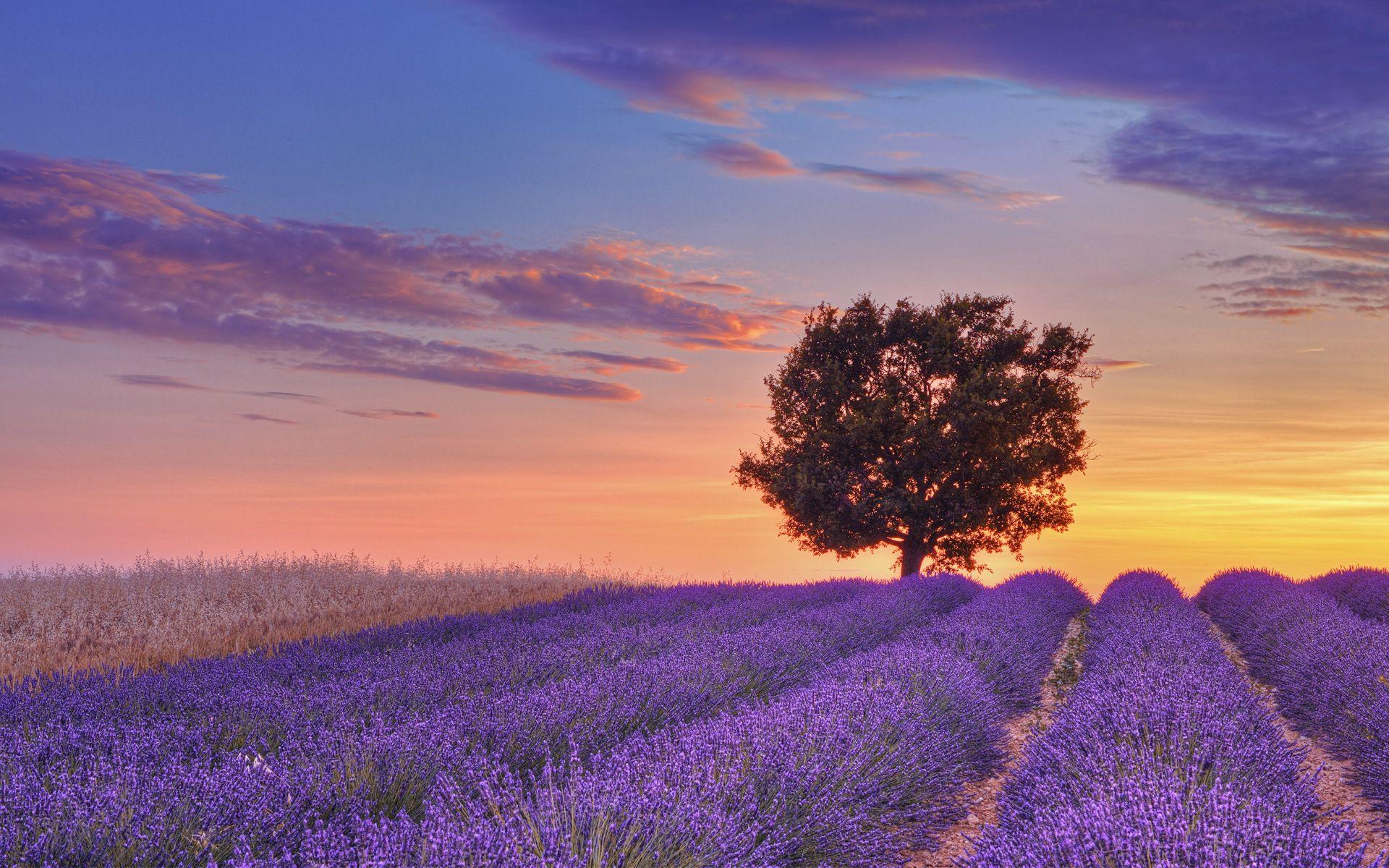 Provence France Wallpapers - Top Free Provence France Backgrounds