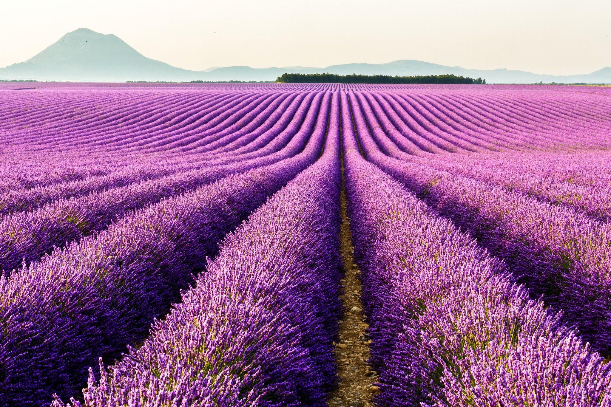 Provence France Wallpapers - Top Free Provence France Backgrounds