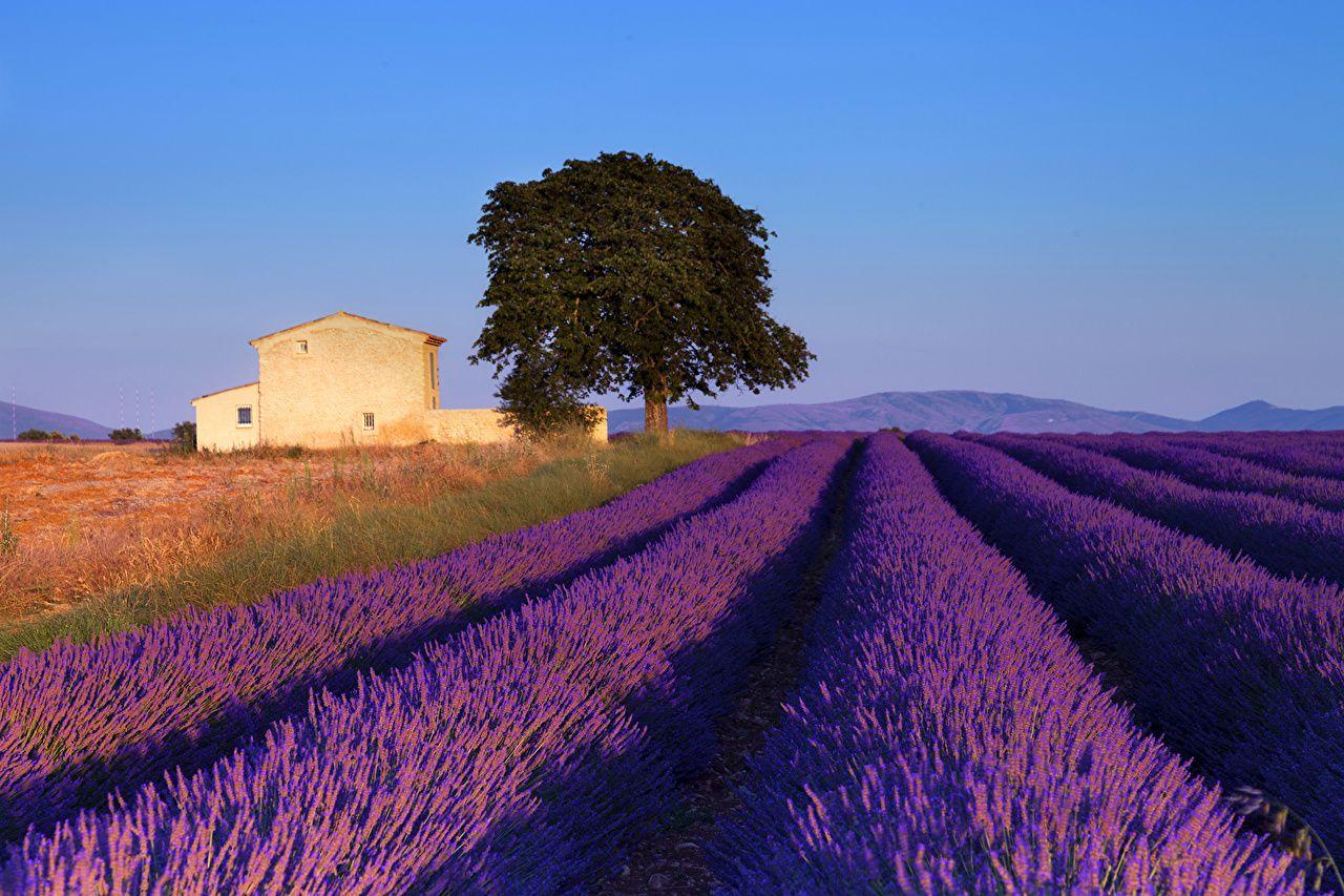 Provence France Wallpapers - Top Free Provence France Backgrounds