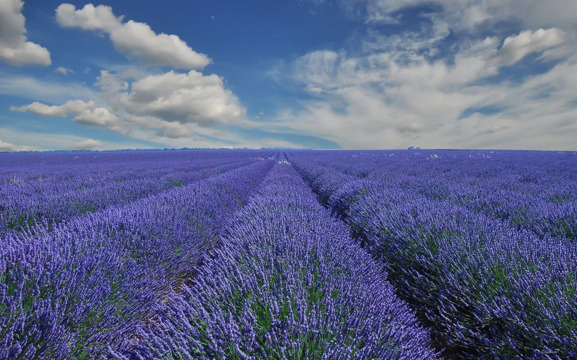 Provence France Wallpapers - Top Free Provence France Backgrounds ...