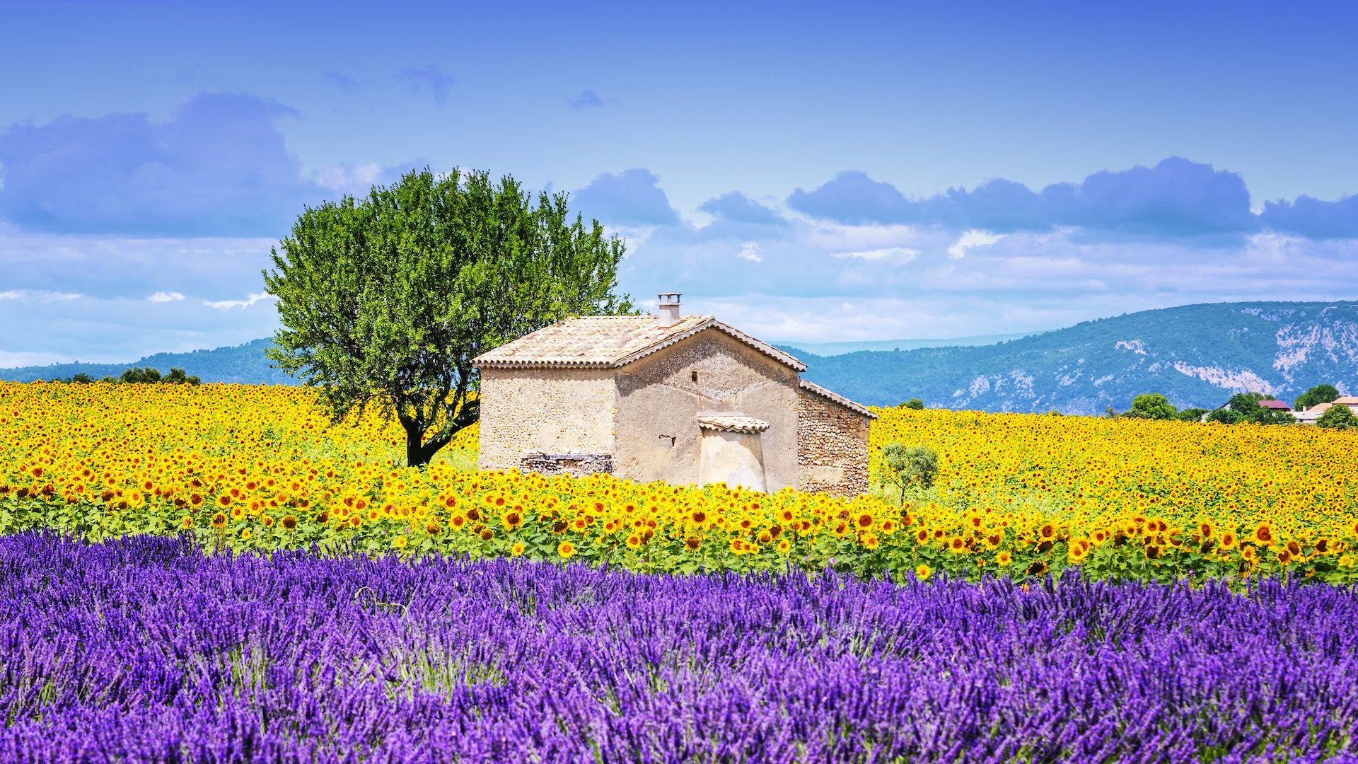 Provence France Wallpapers - Top Free Provence France Backgrounds