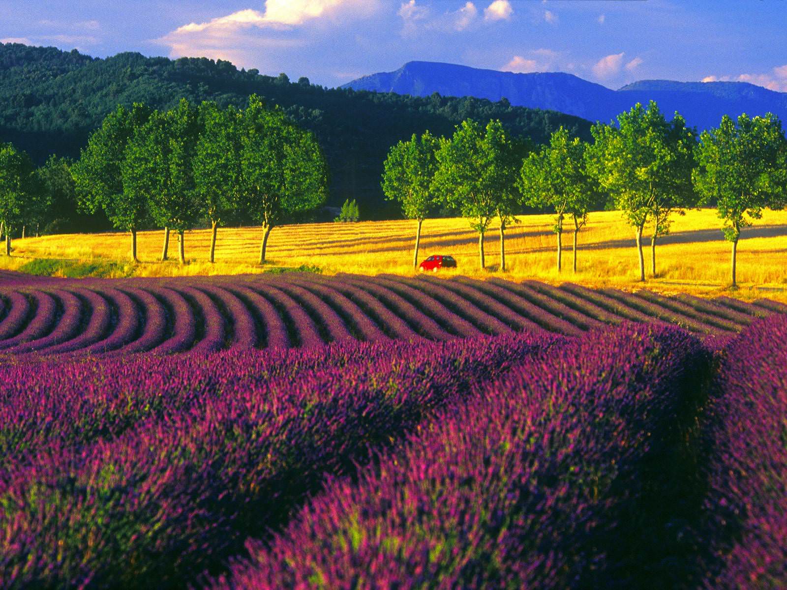 1600x1200 Landscape in Provence, France wallpaper and image