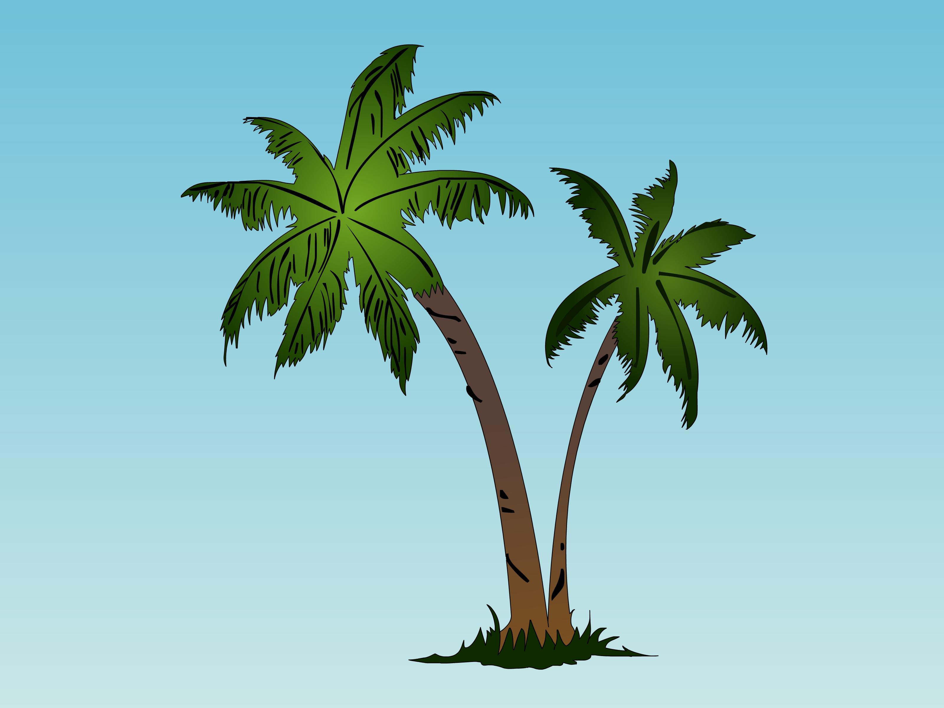 3200x2400 Most viewed Palm Tree wallpaperK Wallpaper