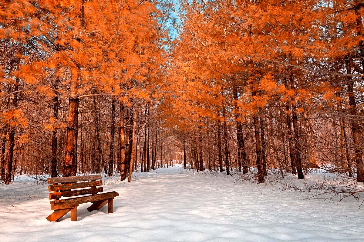 1200x800 HD Wallpaper Winter :) Check out more HD wallpaper for Apple and Android devices #winter #wallpaper #photography