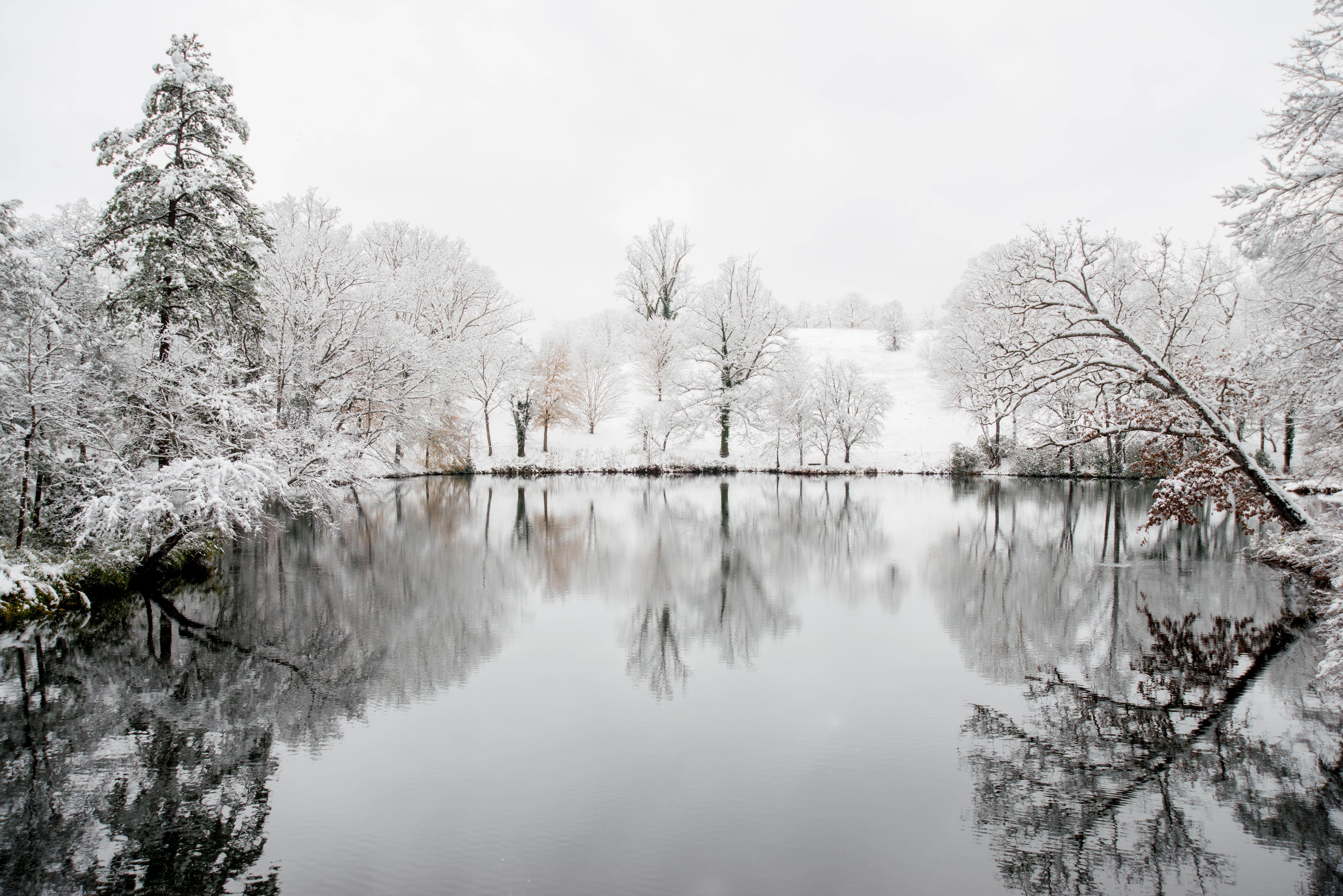 7305x4875 peaceful HD wallpaper, Background