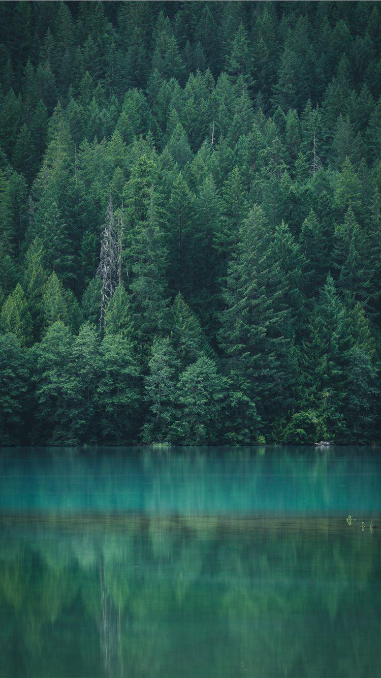 Calming Green Wallpapers - Top Free Calming Green Backgrounds ...