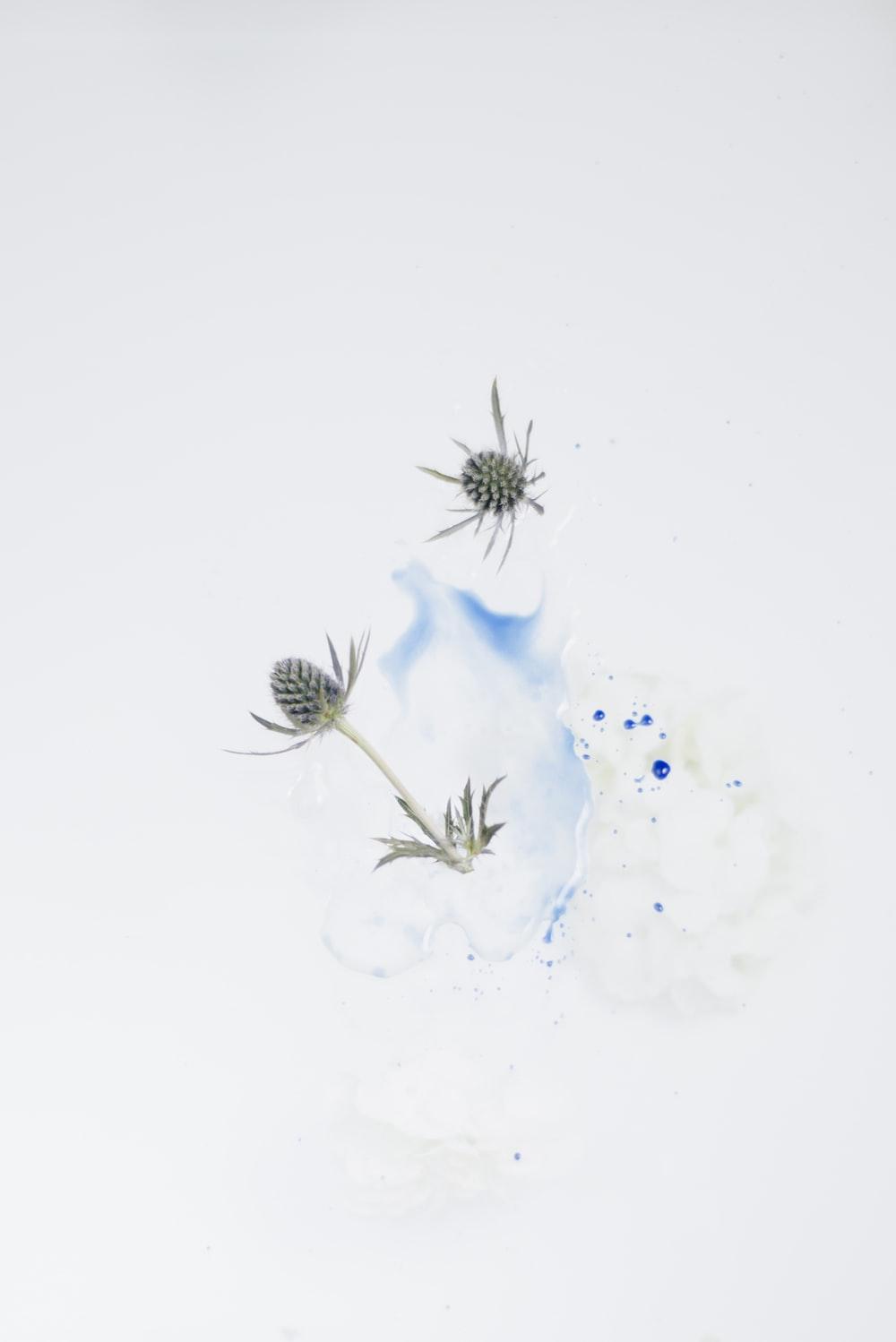 1000x1498 Minimalist. best free minimalist, white, grey and background photo