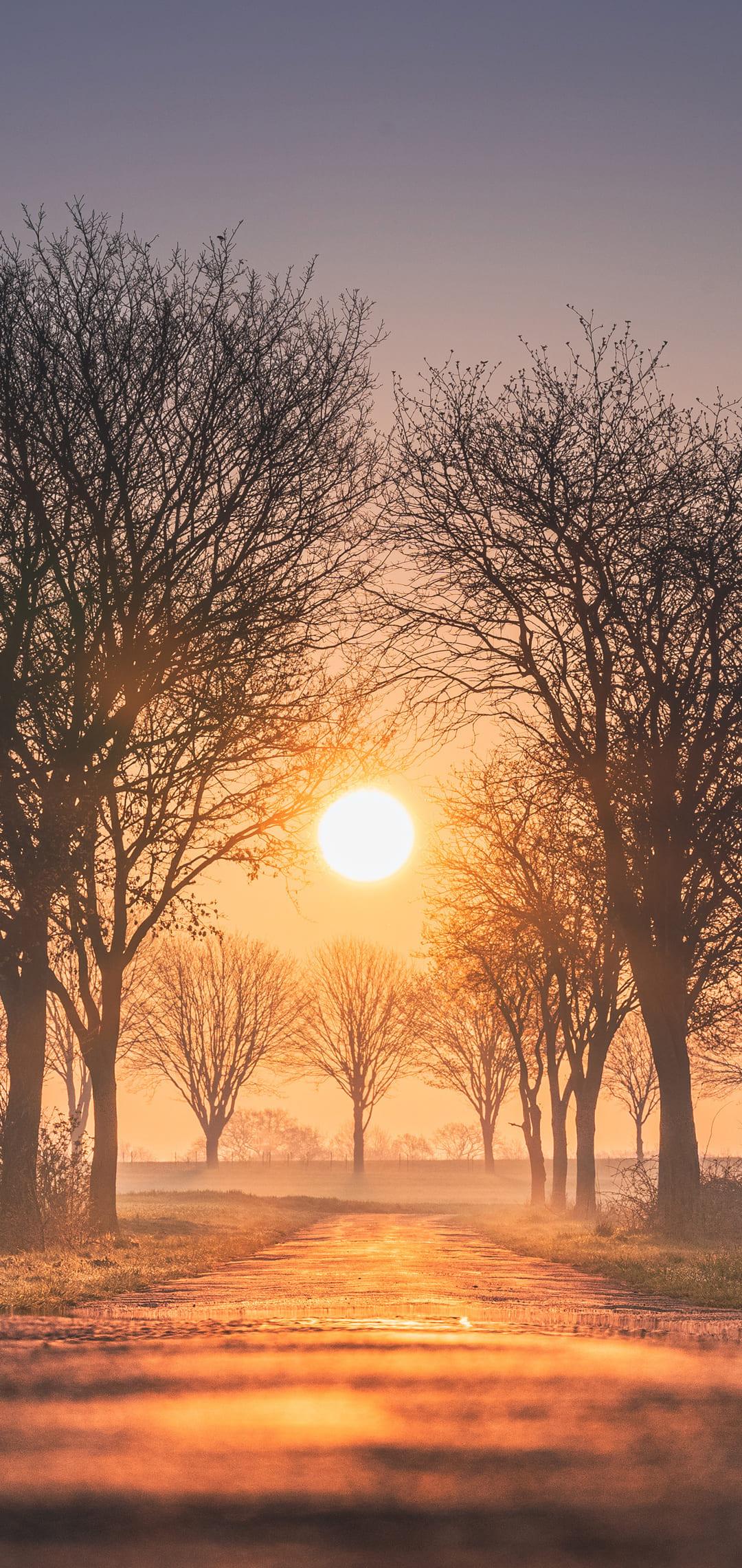 1080x2280 Sunset Wallpaper -k Background Download [ HD ]