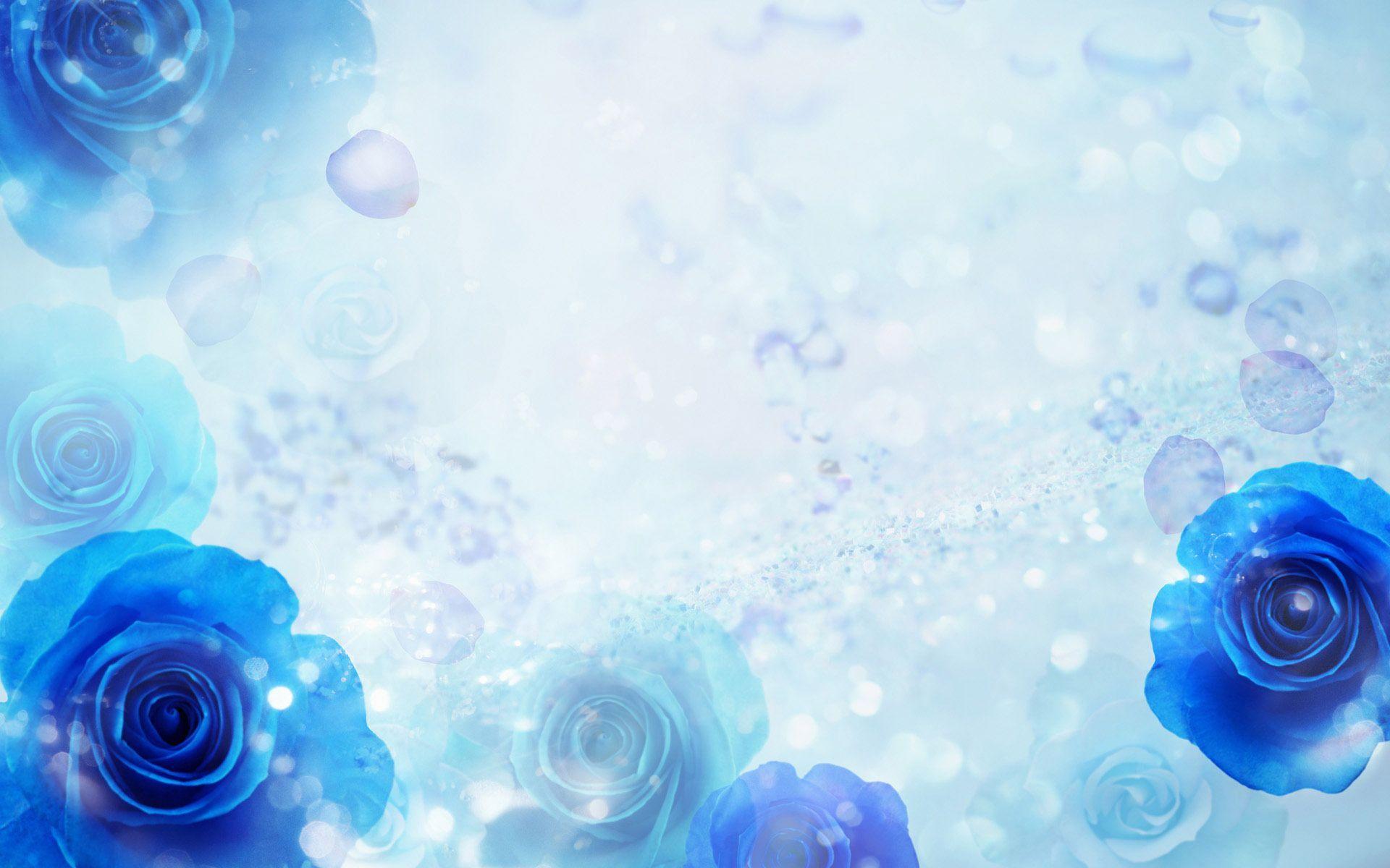 1920x1200 Stunning HD Natural Rose Blue Roses Background