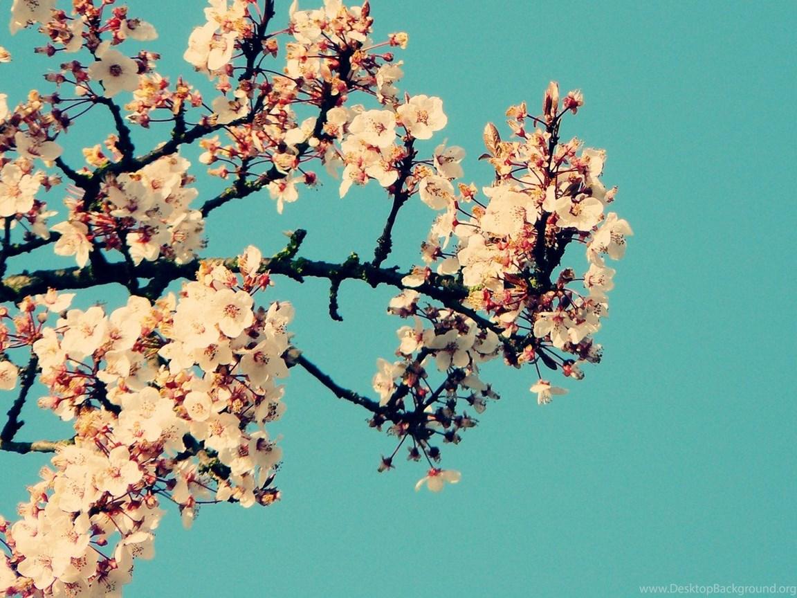 1152x864 Desktop Background Tumblr HD Wallpaper Desktop Wallpaper. Desktop Background