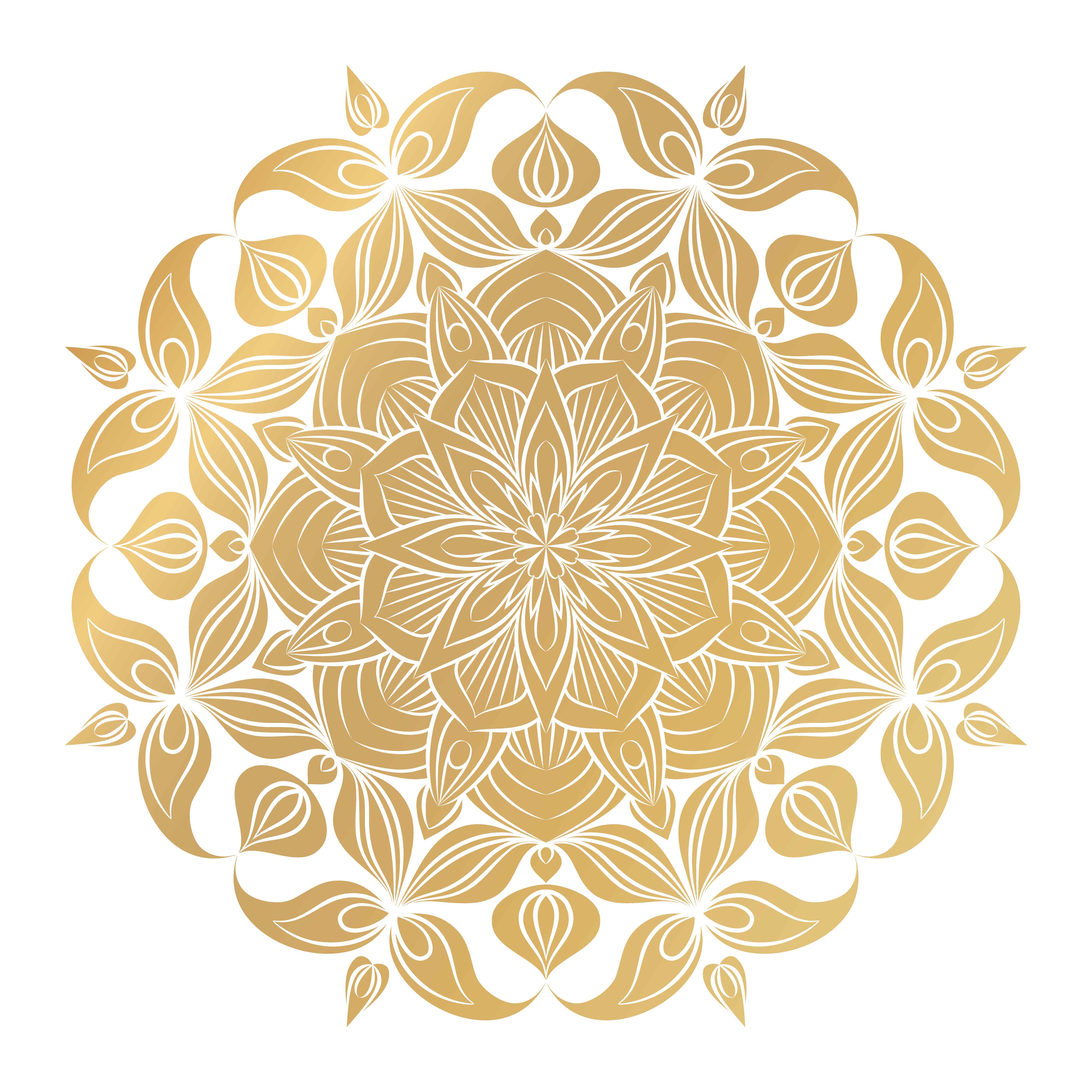 5000x5000 Vector Mandala ornament. Vintage decorative elements. Oriental round pattern. Islam, Arabic, Indian, turkish, pakistan, chinese, ottoman motifs. Hand drawn floral background