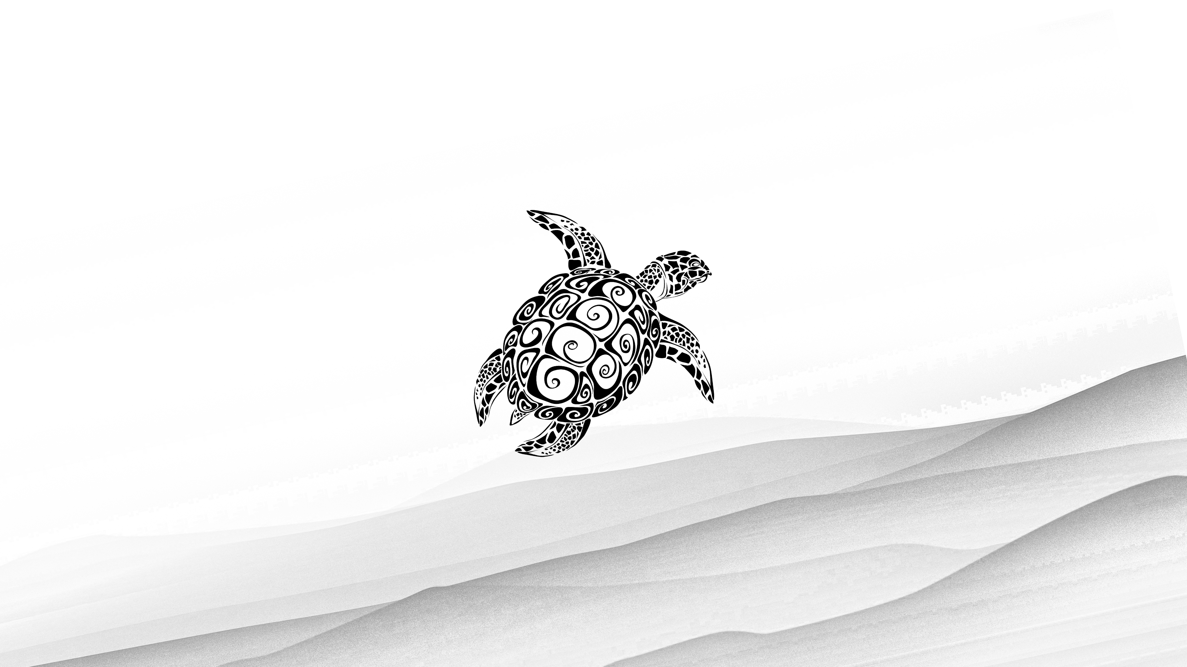 3840x2160 Minimalist Turtle Wallpaper [3840 x 2160]