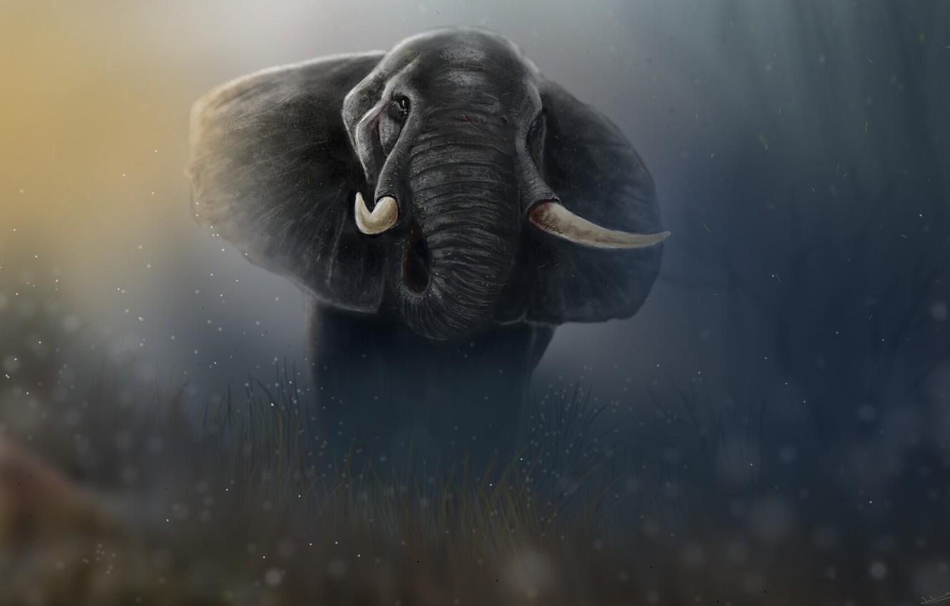 1332x850 Wallpaper Figure, Elephant, Art, Art, Animal, Elephant, Animal, Giant, Giant, Figure, Tusks, Tusks, Jaleel Muhammed, by Jaleel Muhammed, The Desolated Tusker image for desktop, section арт