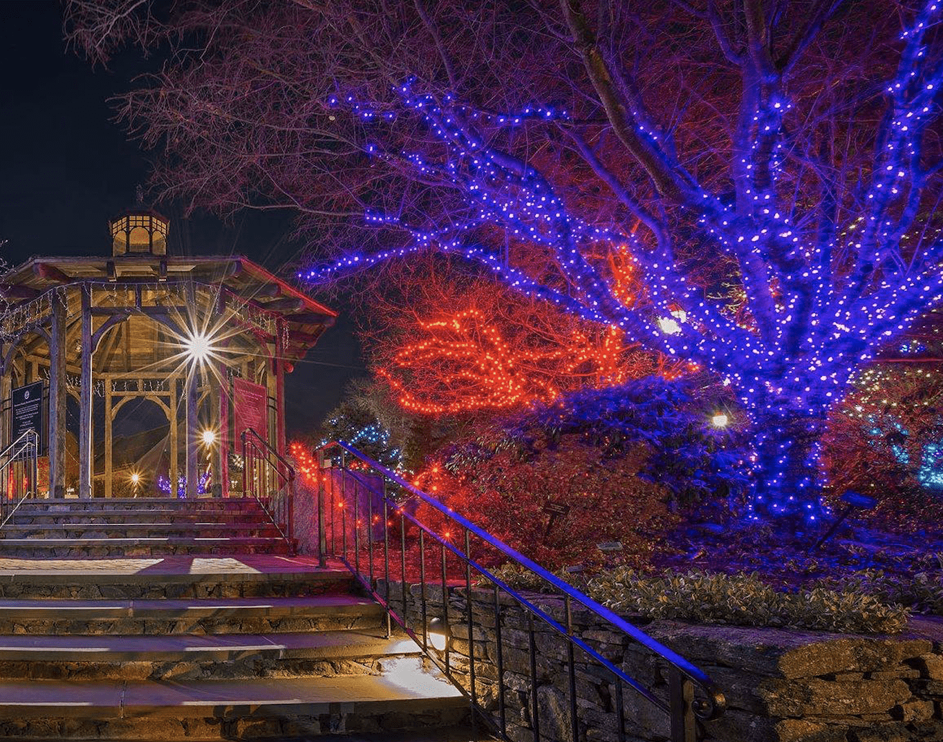 1364x1074 Things To Do In Boston With Kids This Weekend, Nov 30th