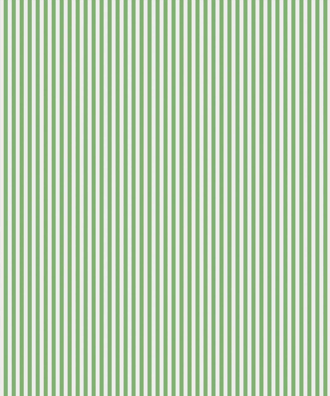 EXCEL Wall Decor  Buy Excel Wallpaper Sunspear Golden Stripes In Green  Online  Nykaa Fashion