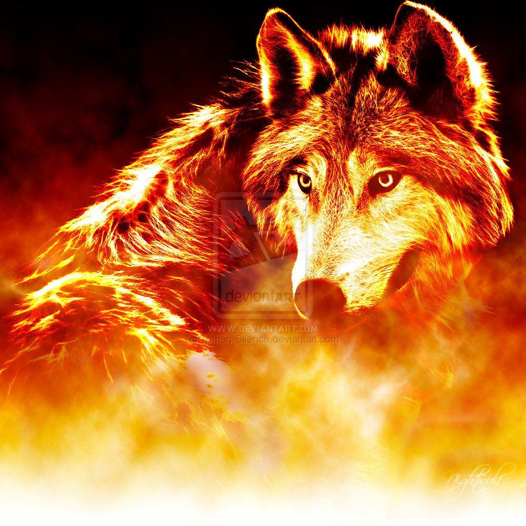 1024x1024 Blue And Red Wolf Wallpaper