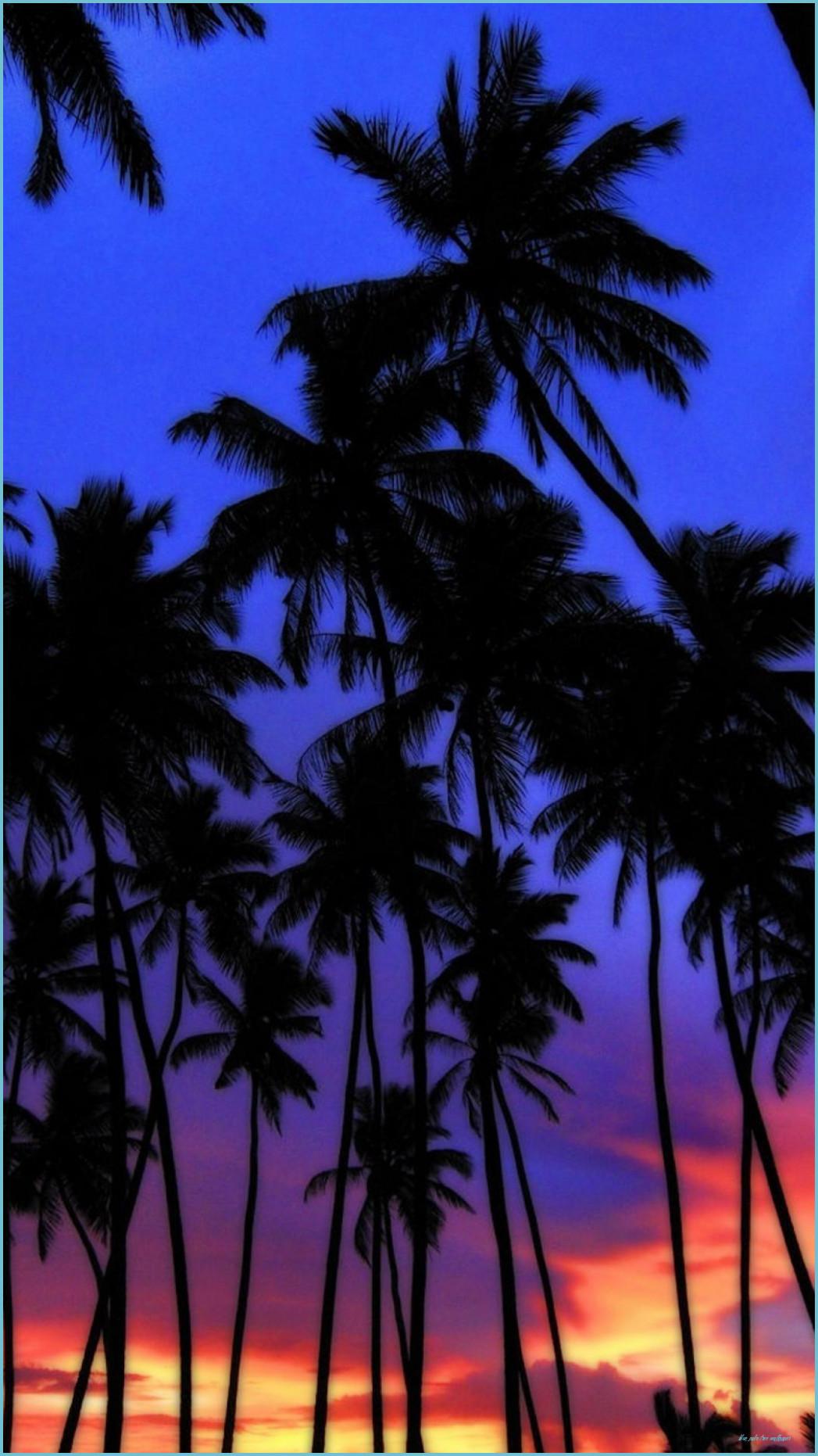 1047x1862 Blue Palms Wallpaper Palm Tree Wallpaper