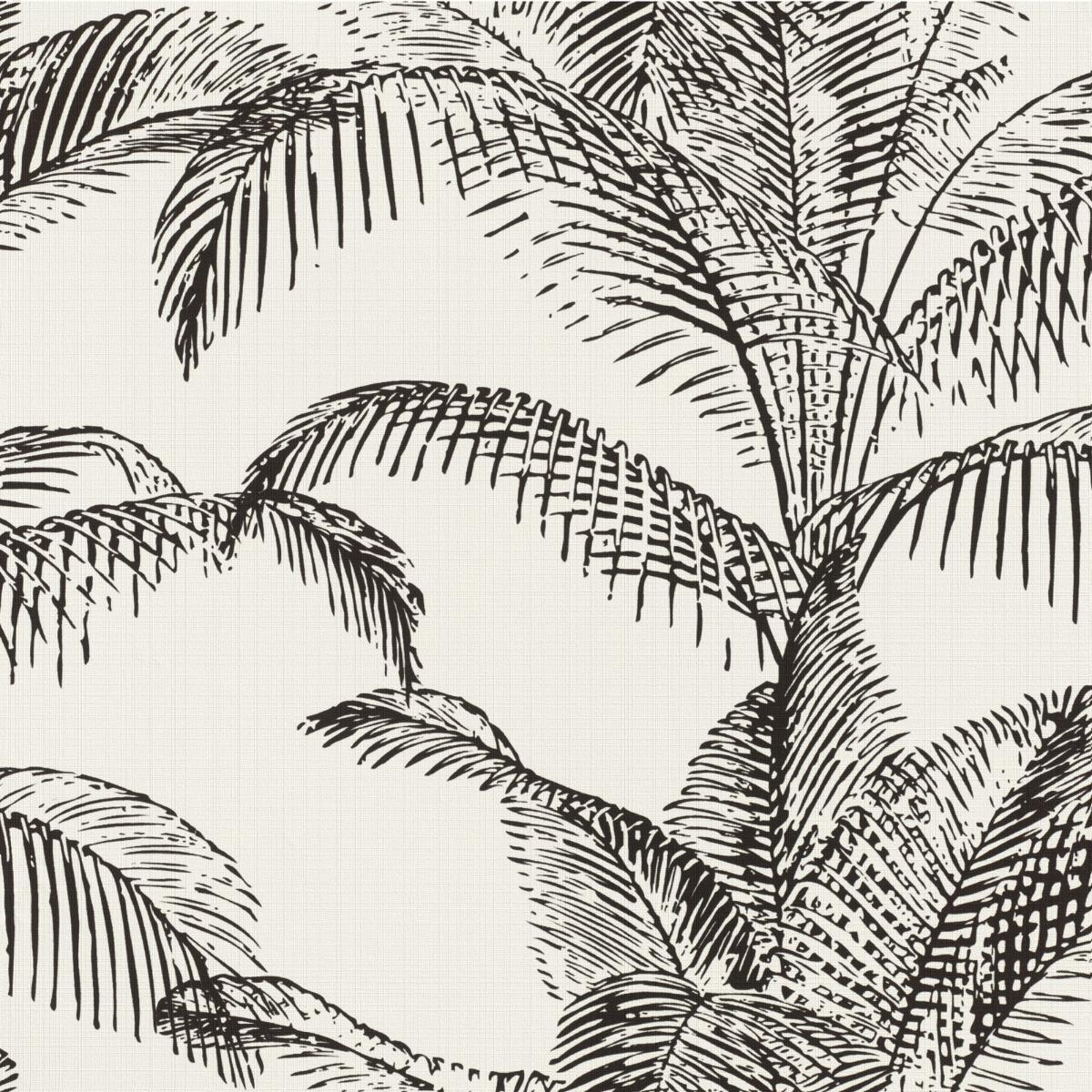 Black and White Palm Tree Wallpapers - Top Free Black and White Palm