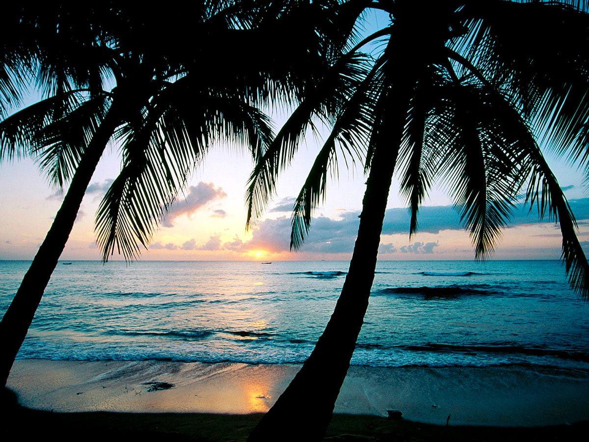 1200x900 Cool wallpaper Sunrise, Nature, Tropics. FREE Best background