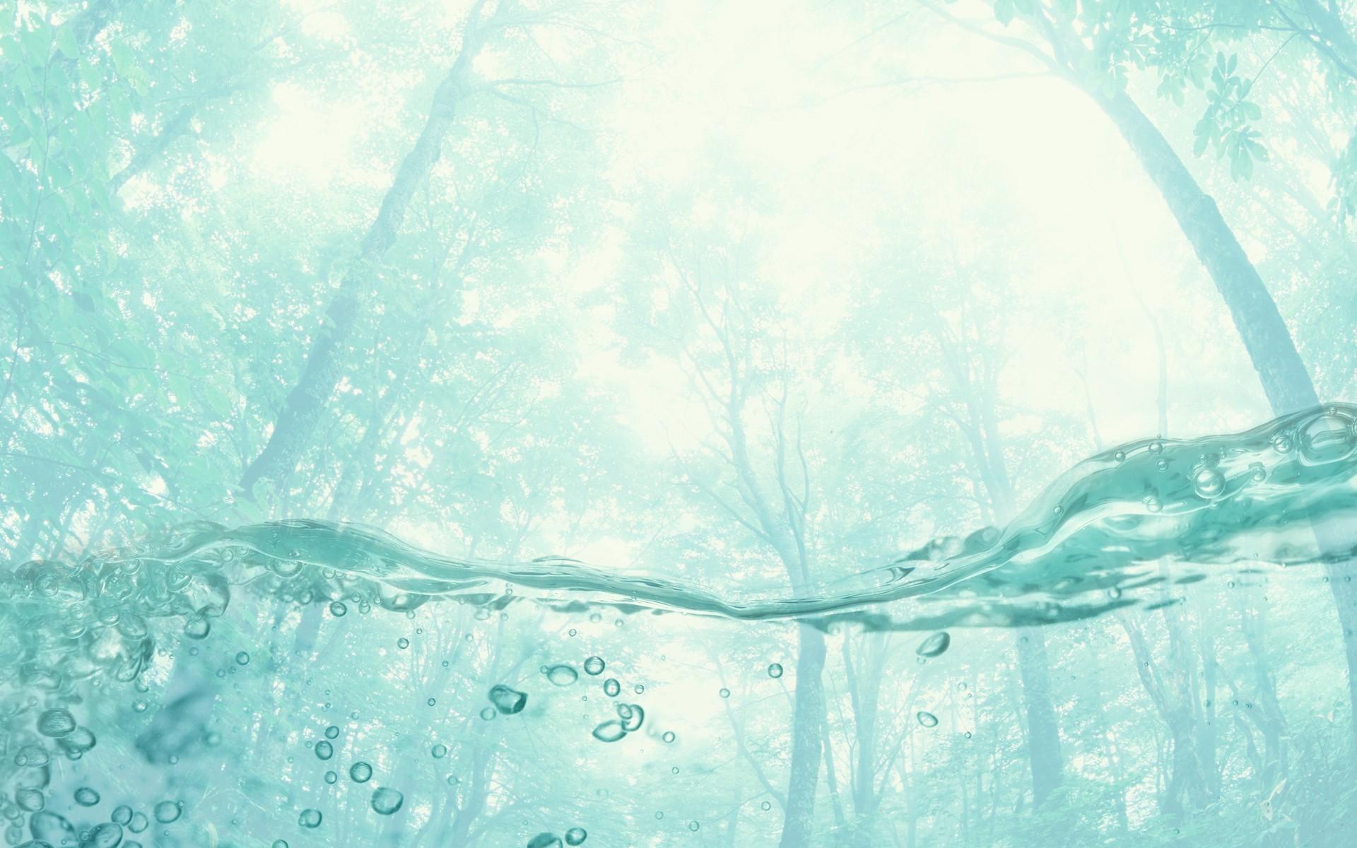 1920x1200 Bright HD Wallpaper