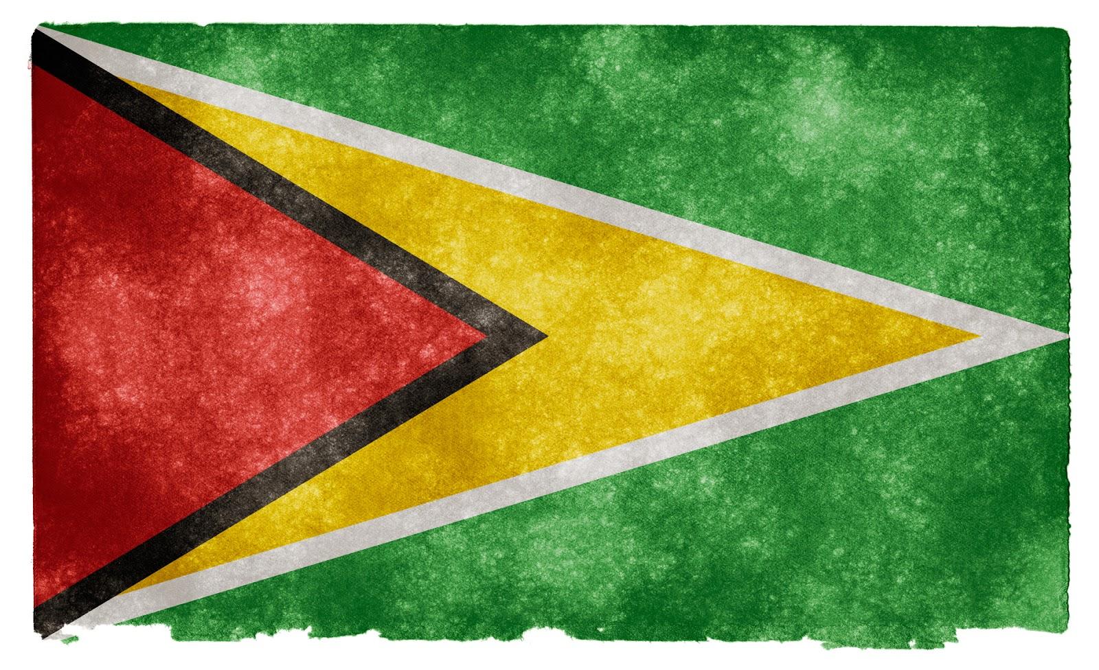 1600x976 Guyana Flag Wallpaper 2020
