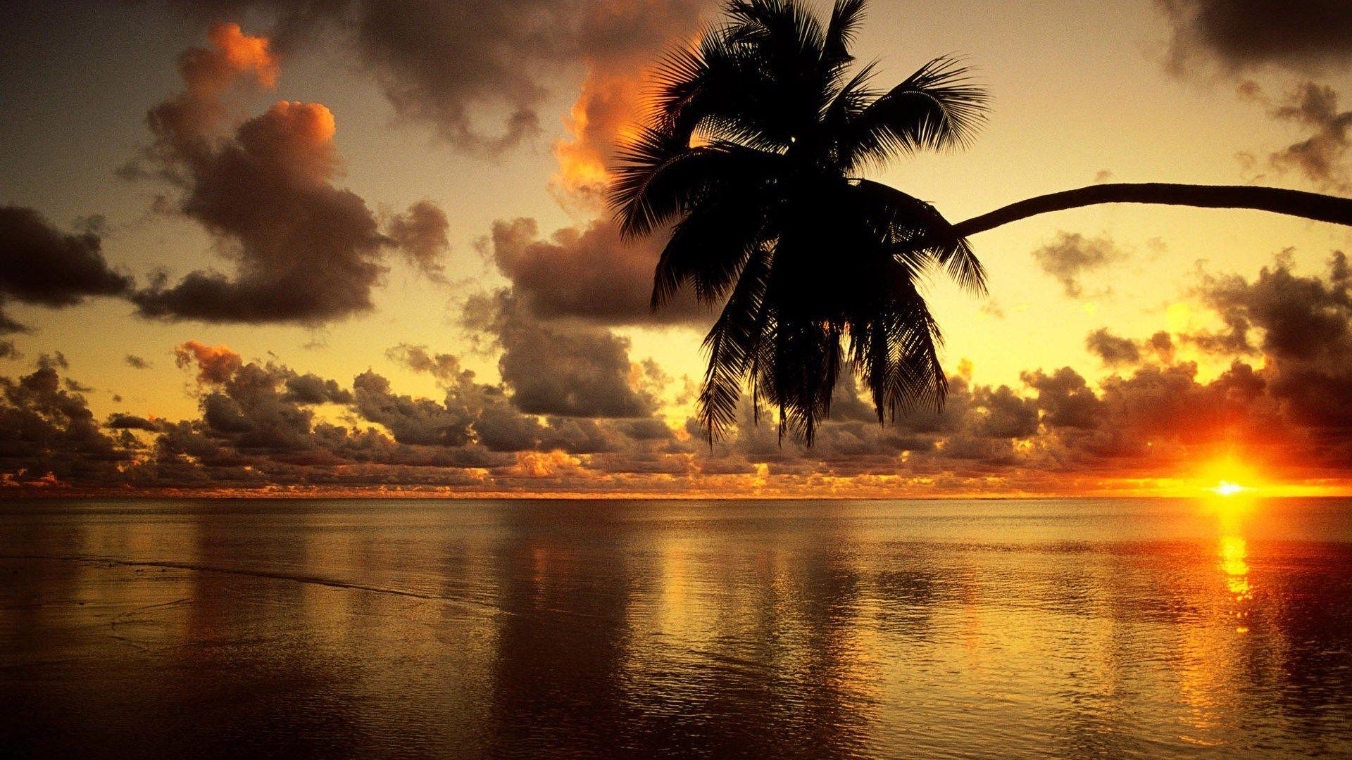1920x1080 amazing sunrise wallpaper HD picture. Натуральный, Восход солнца на пляже, Обои с пляжем