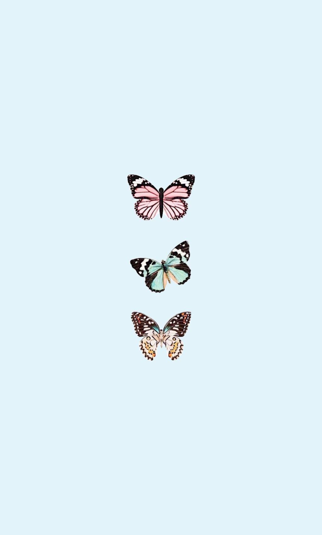 1024x1701 Aesthetic Butterfly Wallpaper